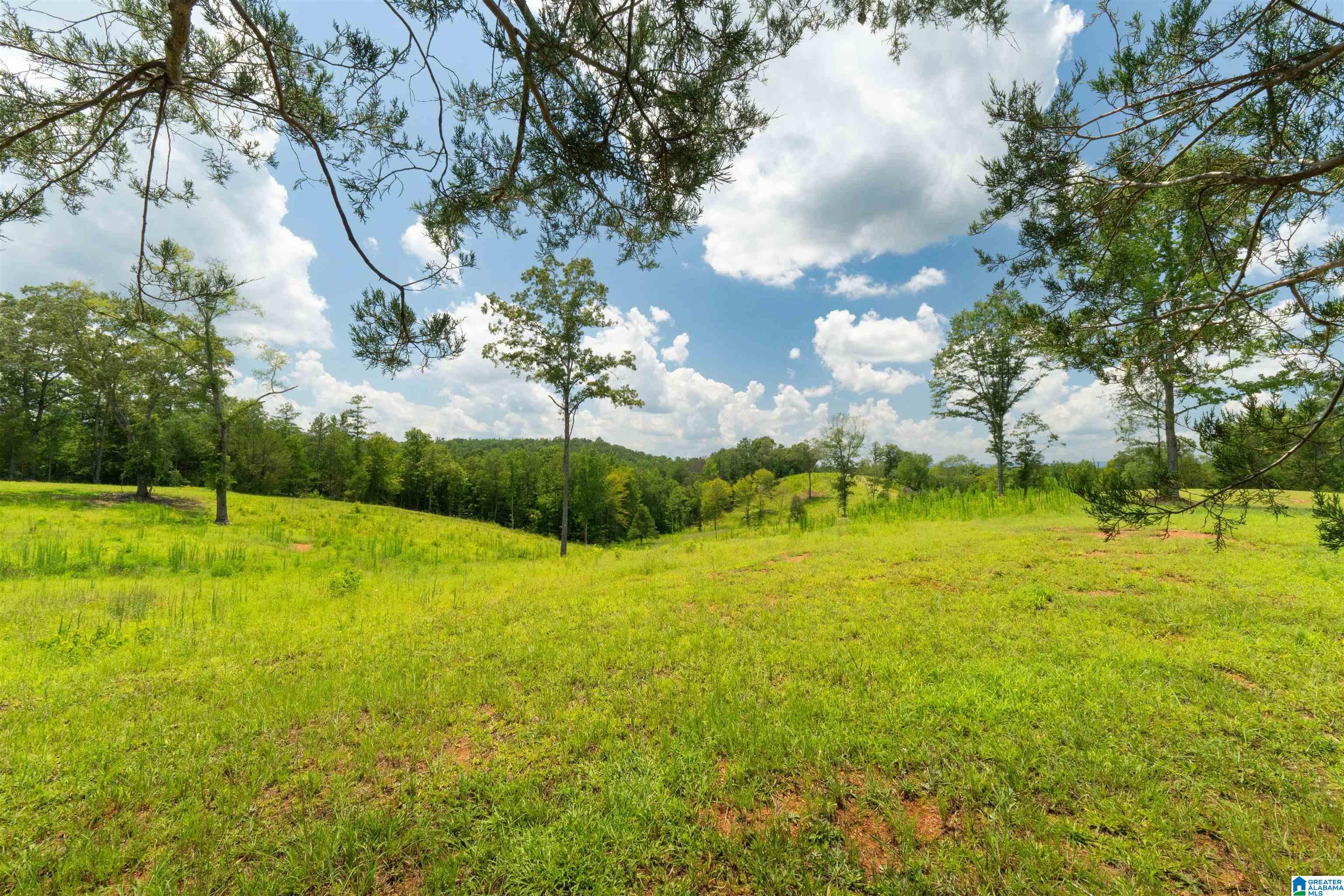 Photo 3 of Land for sale at 819 A Woodgate Shrs Dr, Wedowee, AL 36278 | MLS# 21464764 | Listing updated on 2026-09-14