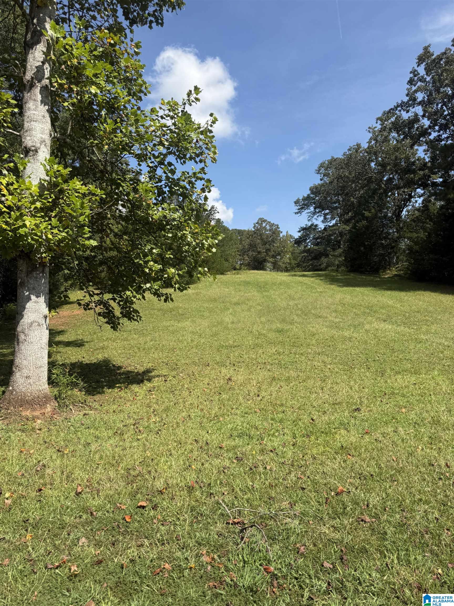 Photo 3 of Land for sale at 1480 A County Rd 269, Wedowee, AL 36278 | MLS# 21464765 | Listing updated on 2026-09-14