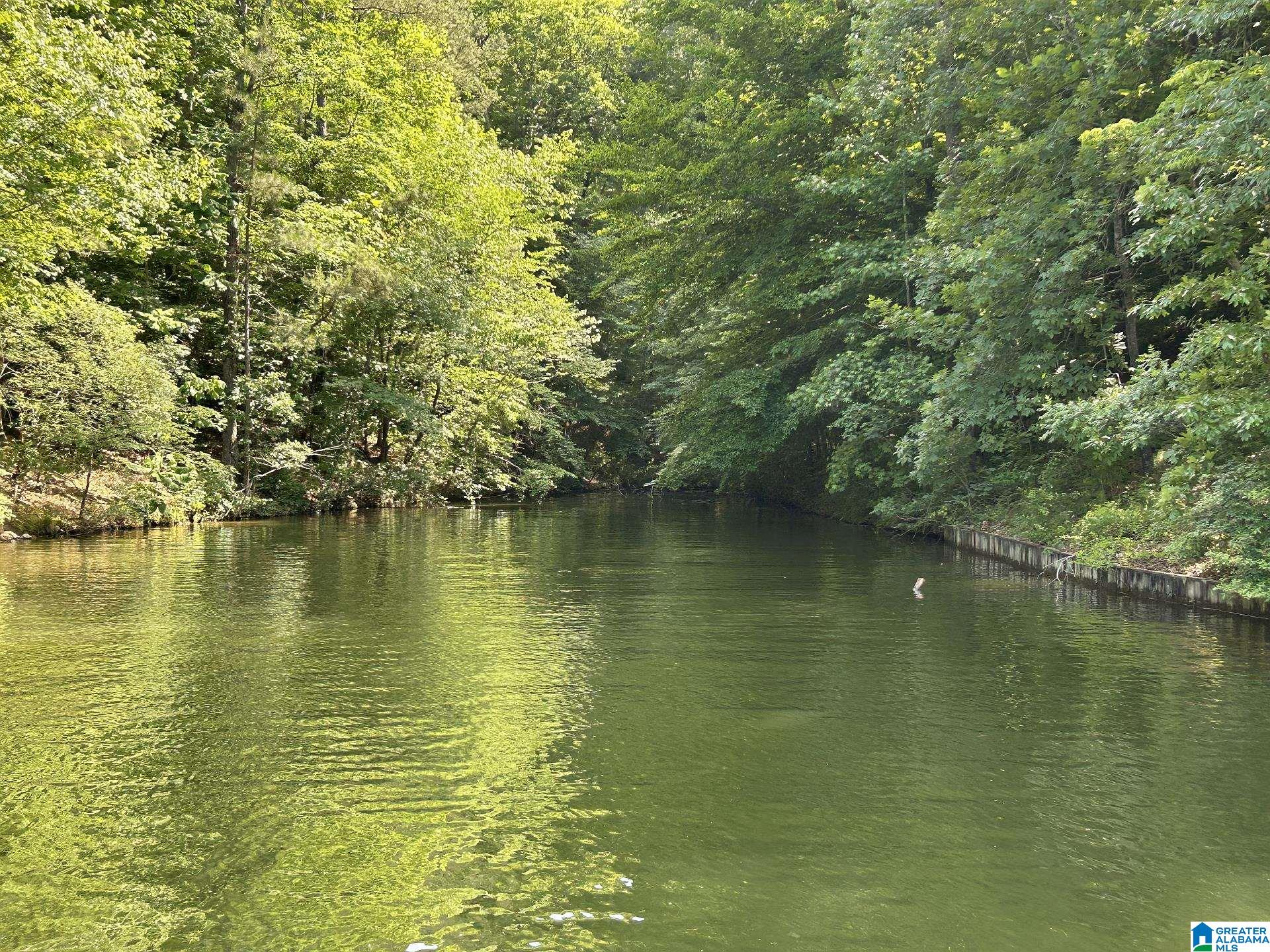 Photo 3 of Land for sale at 0 Meadow Ln, Wedowee, AL 36278 | MLS# 21464801 | Listing updated on 2026-09-12