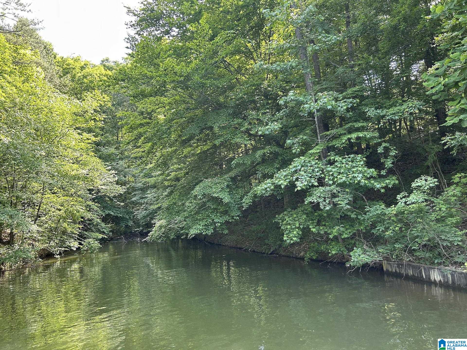 Photo 4 of Land for sale at 0 Meadow Ln, Wedowee, AL 36278 | MLS# 21464801 | Listing updated on 2026-09-12