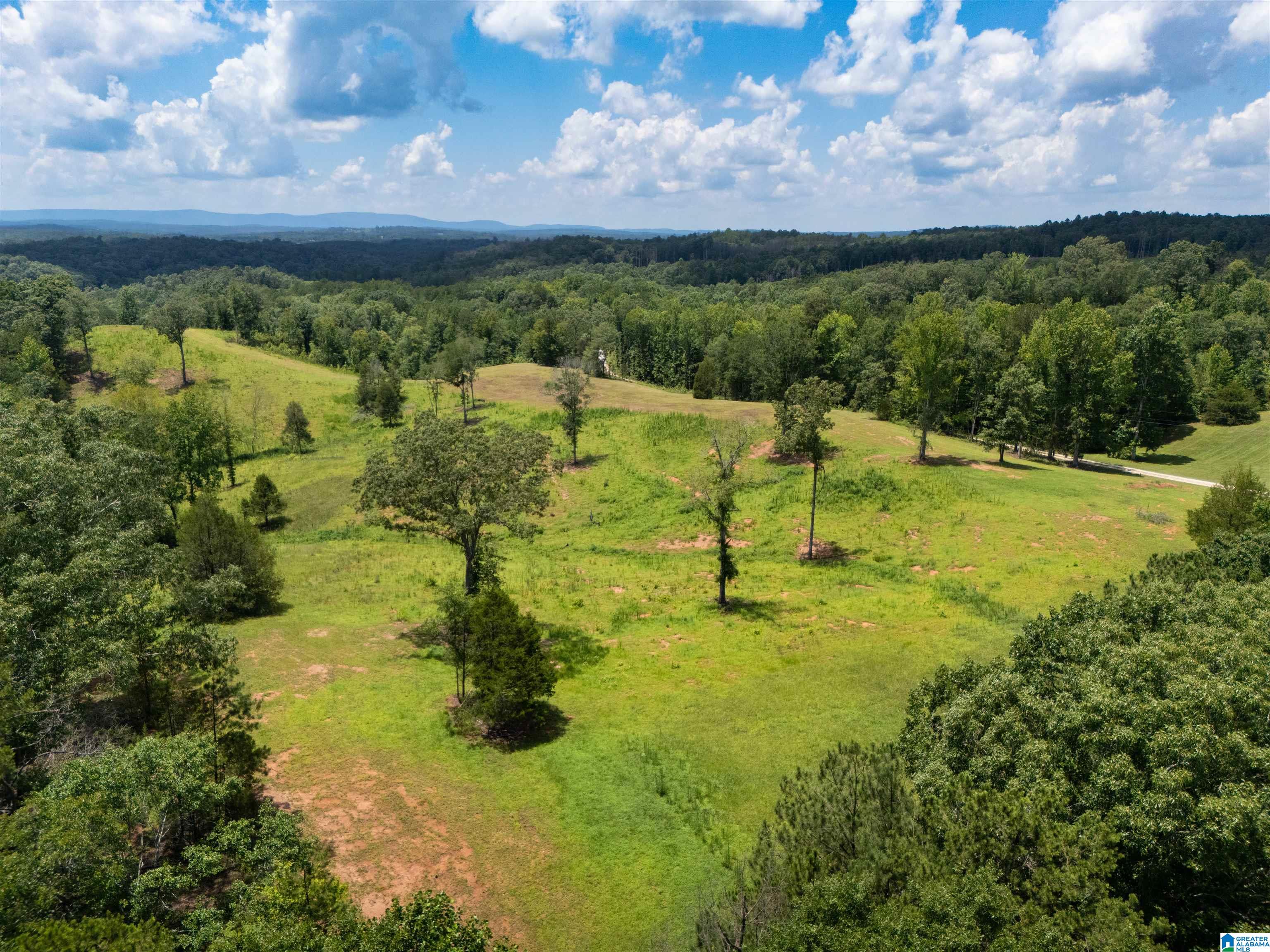 Photo 3 of Land for sale at 1480 B County Rd 269, Wedowee, AL 36278 | MLS# 21464822 | Listing updated on 2026-09-14