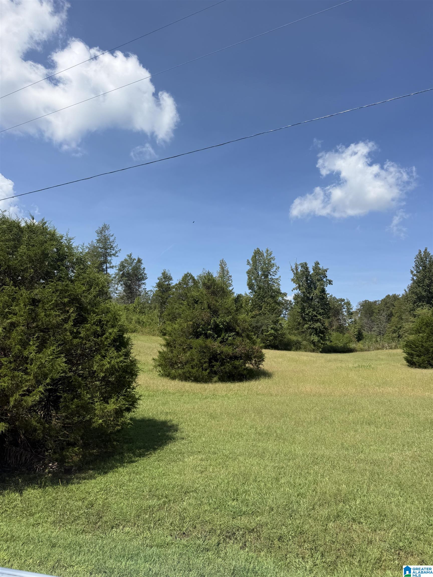 Photo 3 of Land for sale at 1480 B County Rd 269, Wedowee, AL 36278 | MLS# 21464822 | Listing updated on 2026-09-14