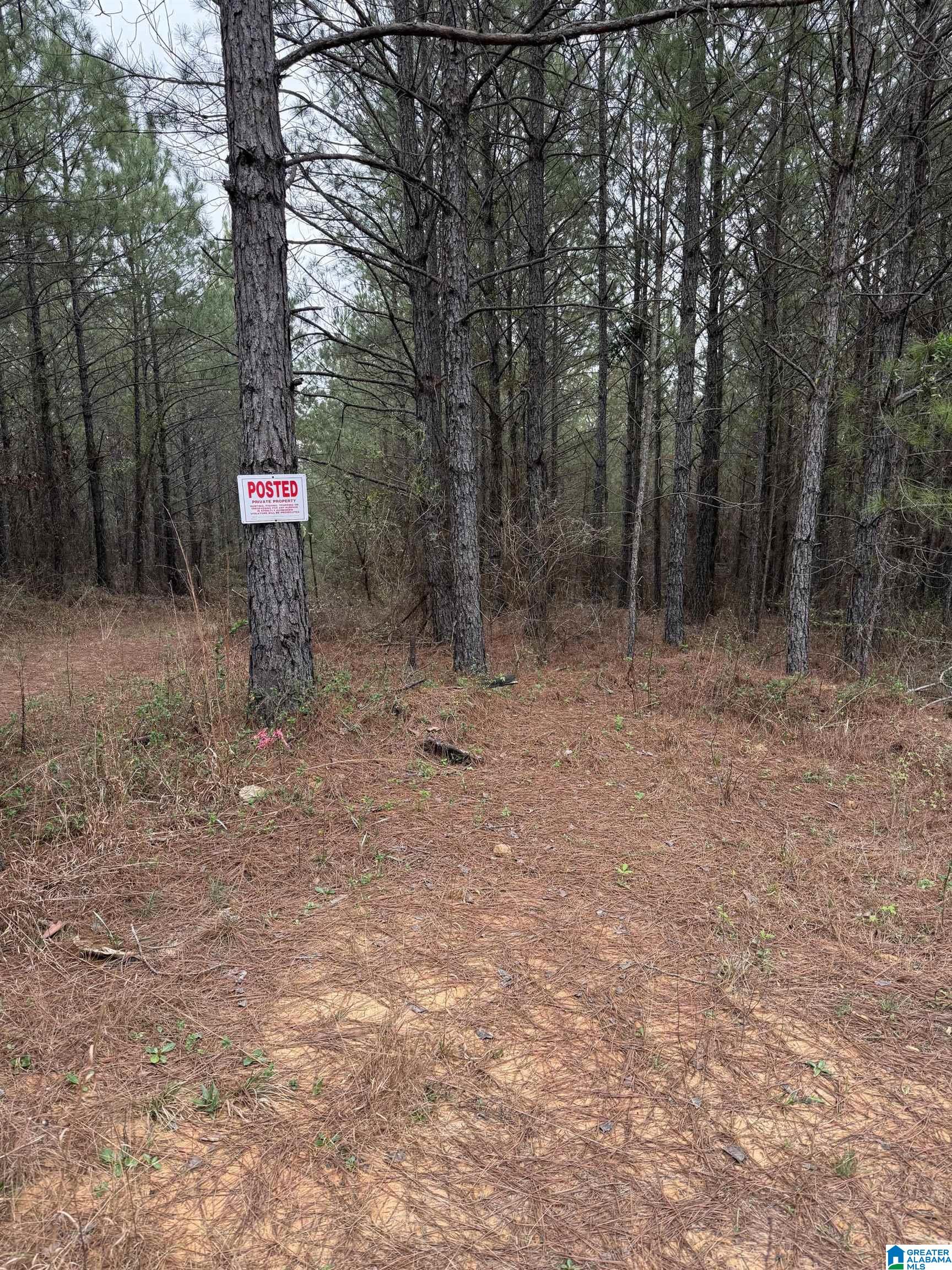 Photo 2 of Land for sale at 752 Hvn Farm Dr, Columbiana, AL 35051 | MLS# 21464832 | Listing updated on 2026-09-12