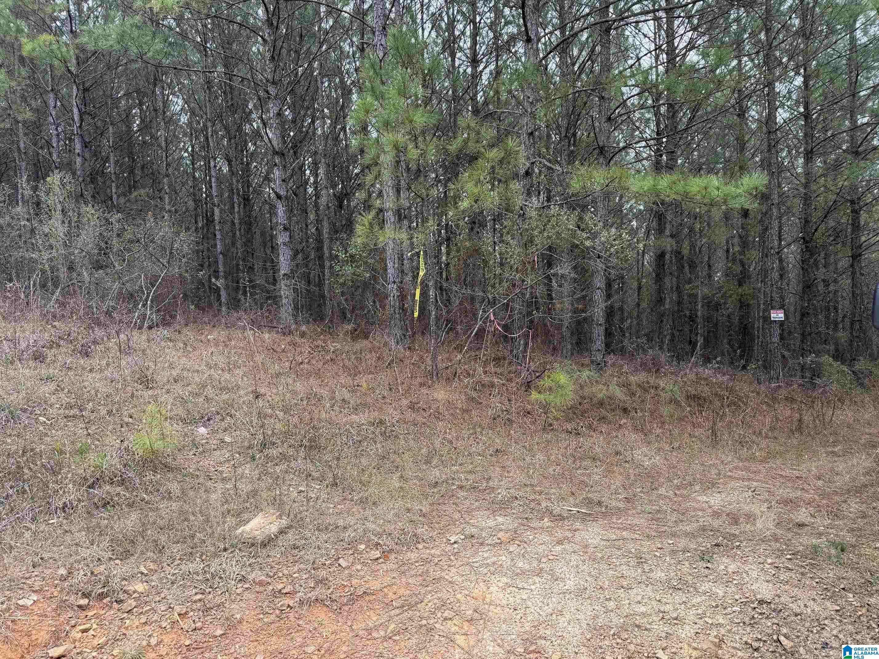 Photo 3 of Land for sale at 752 Hvn Farm Dr, Columbiana, AL 35051 | MLS# 21464832 | Listing updated on 2026-09-12