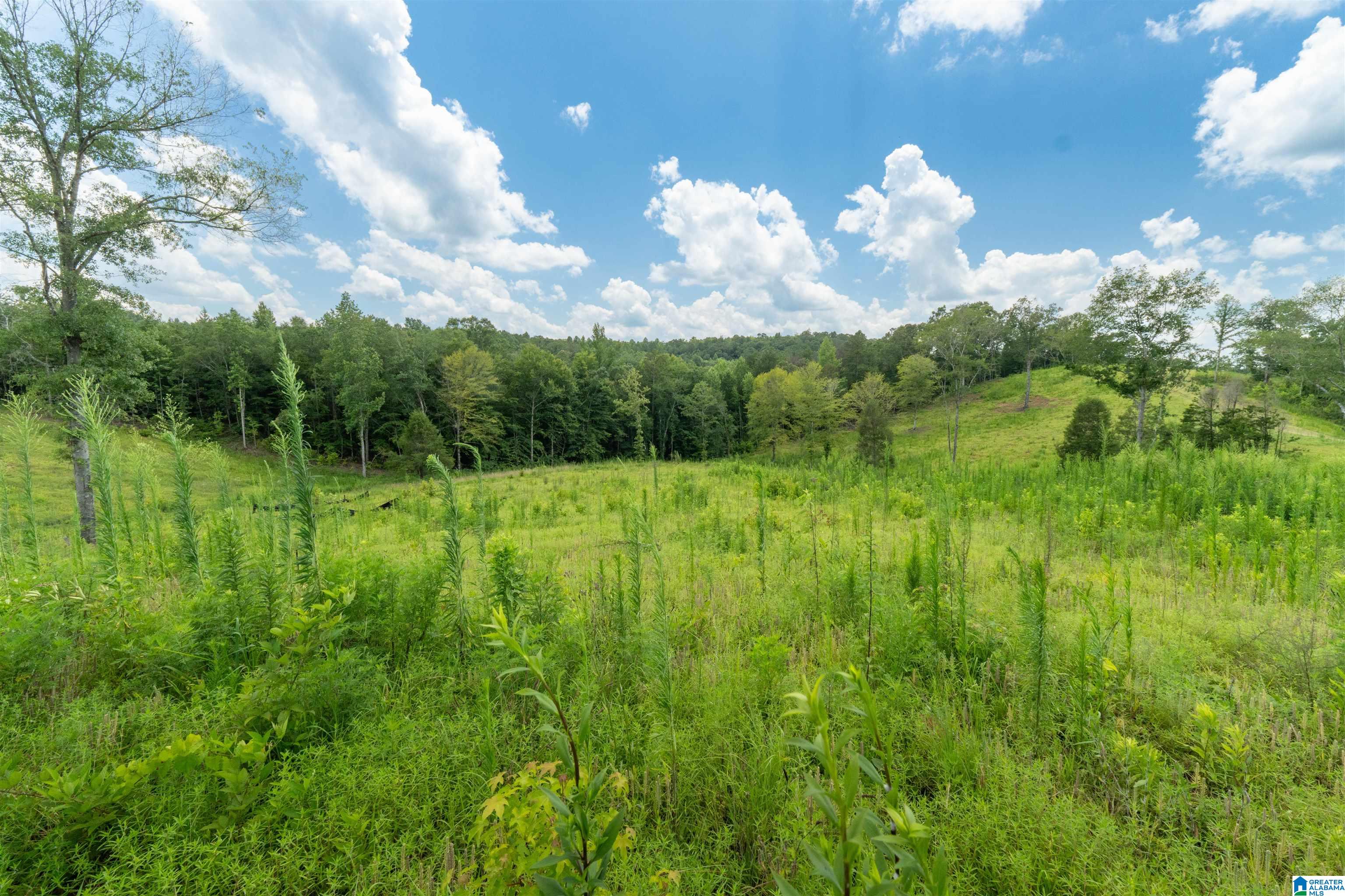 Photo 4 of Land for sale at 819 B Woodgate Shrs Dr, Wedowee, AL 36278 | MLS# 21464837 | Listing updated on 2026-09-17