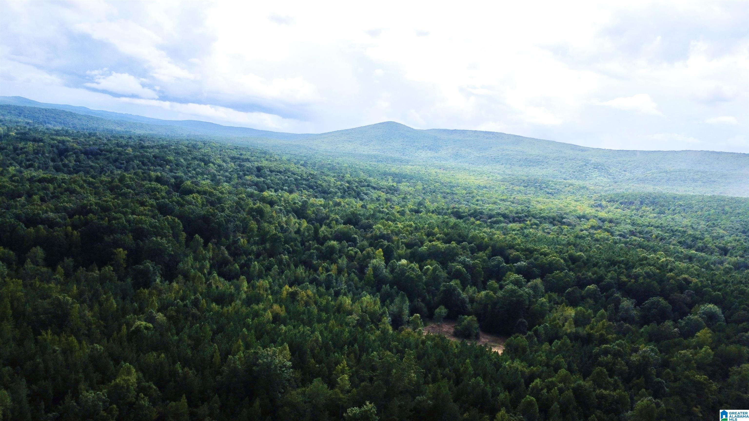 Photo 2 of Land for sale at 0 Nubbin Crk Rd, Lineville, AL 36266 | MLS# 21464847 | Listing updated on 2026-09-13