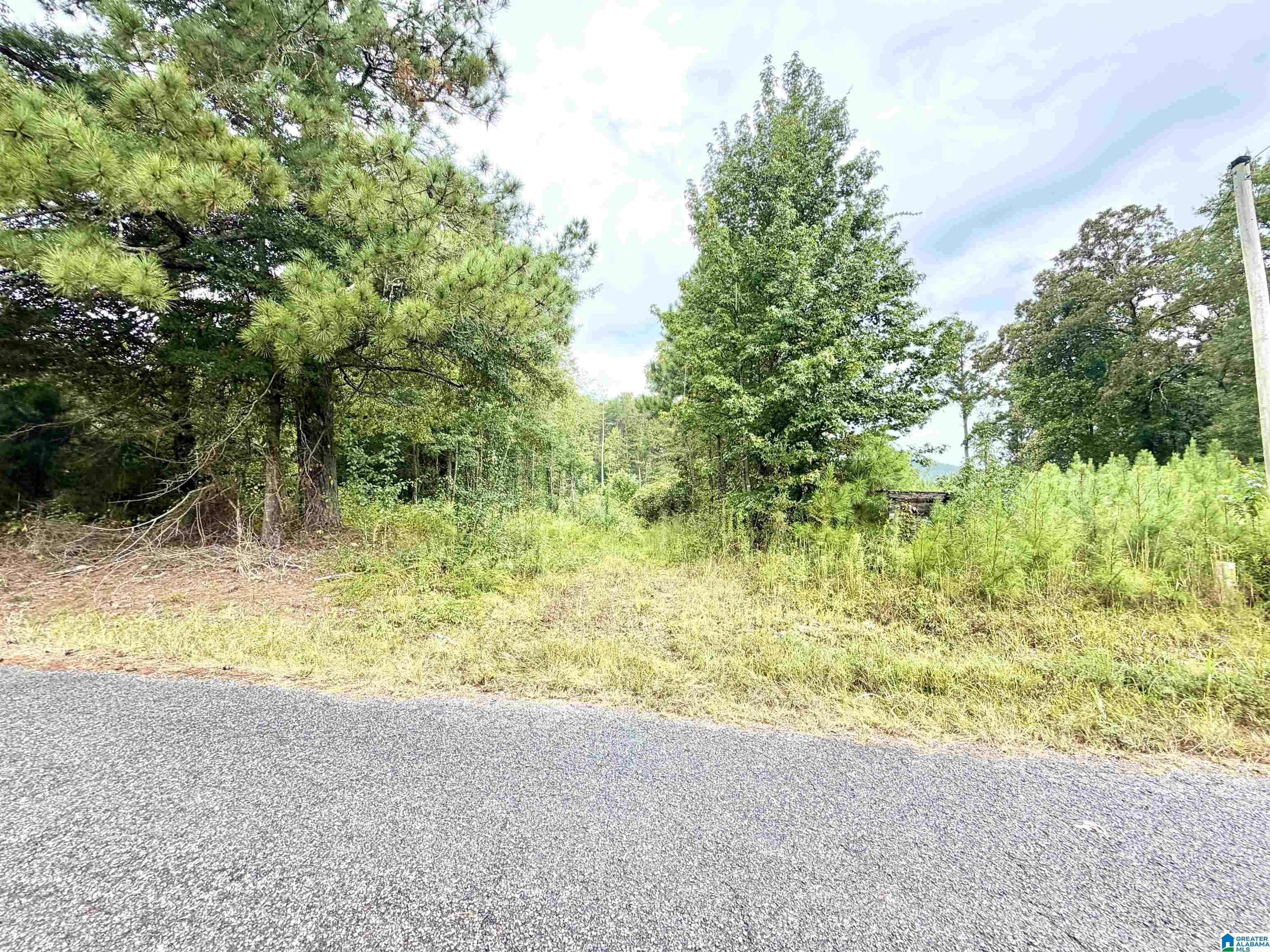 Photo 14 of Land for sale at 0 Nubbin Crk Rd, Lineville, AL 36266 | MLS# 21464847 | Listing updated on 2026-09-13