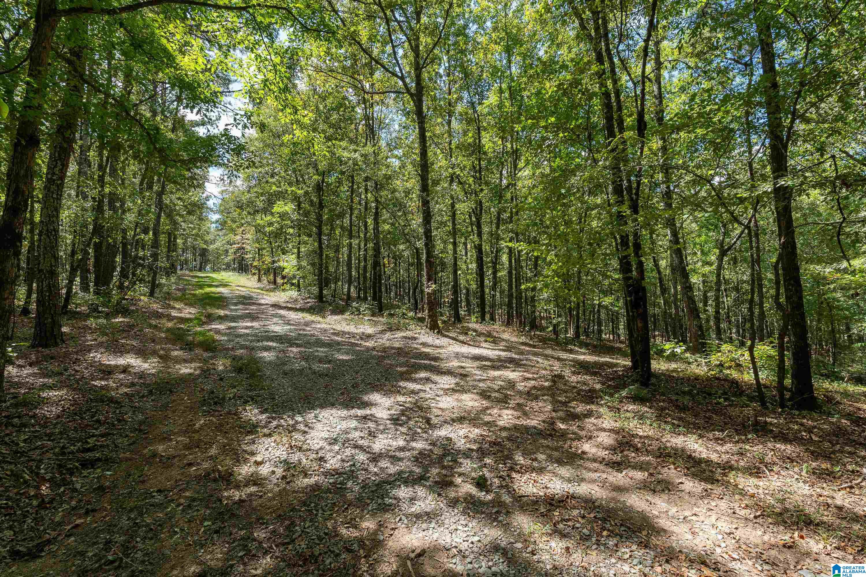 Land for sale at 1385 County Rd 467, Vincent, AL 35178 | MLS# 21464875
