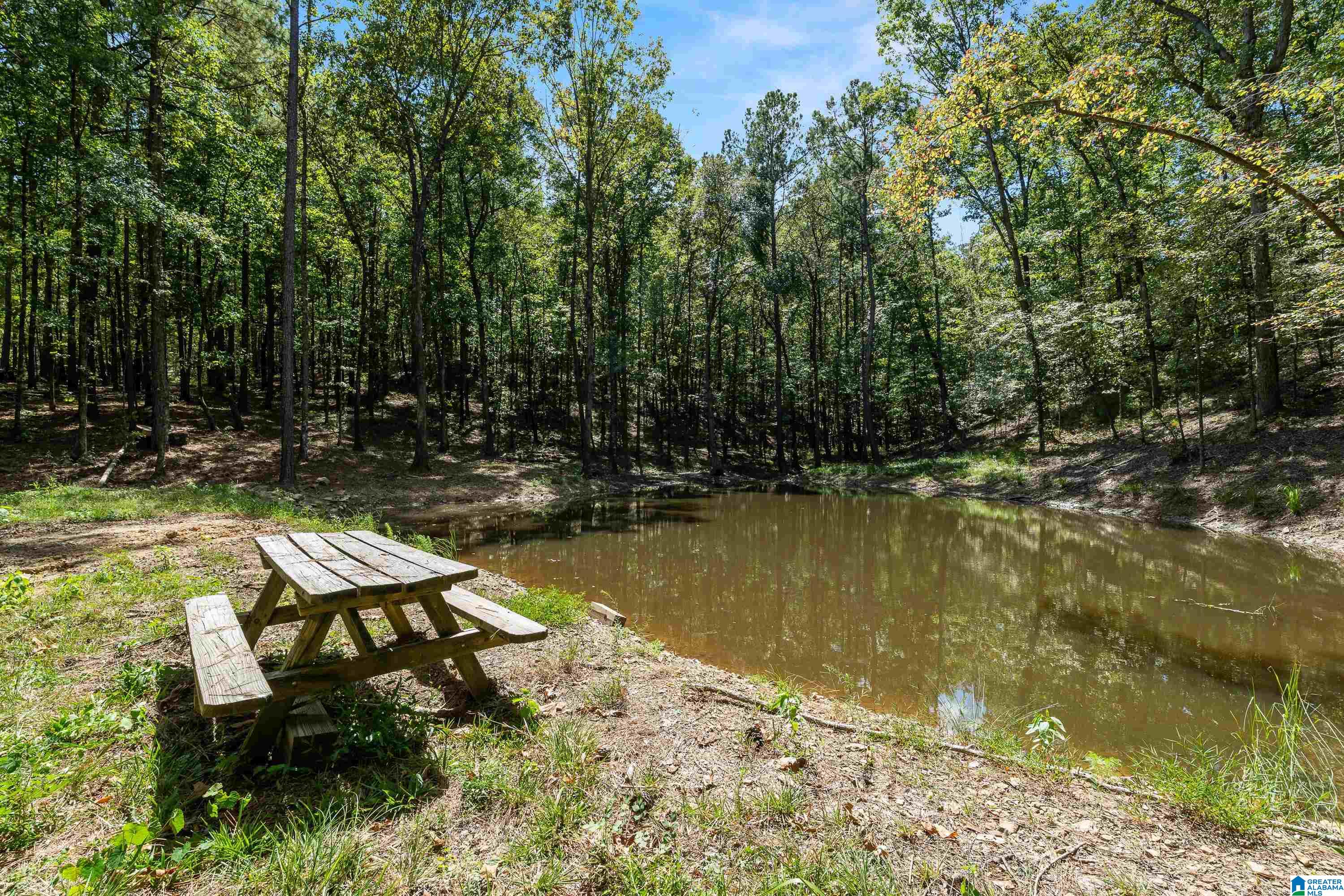 Photo 1 of Land for sale at 1385 County Rd 467, Vincent, AL 35178 | MLS# 21464875 | Listing updated on 2026-09-18