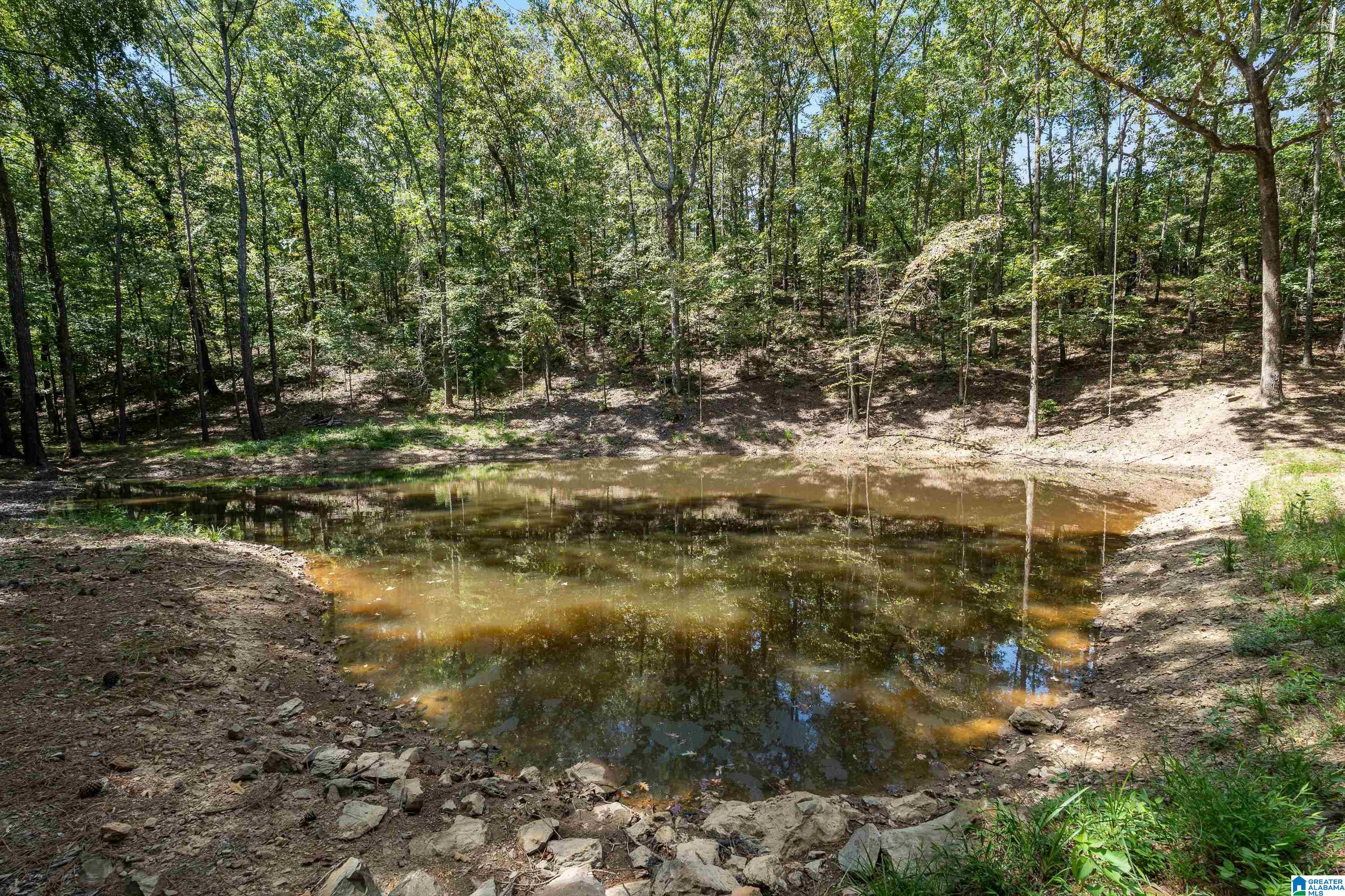 Photo 2 of Land for sale at 1385 County Rd 467, Vincent, AL 35178 | MLS# 21464875 | Listing updated on 2026-09-18