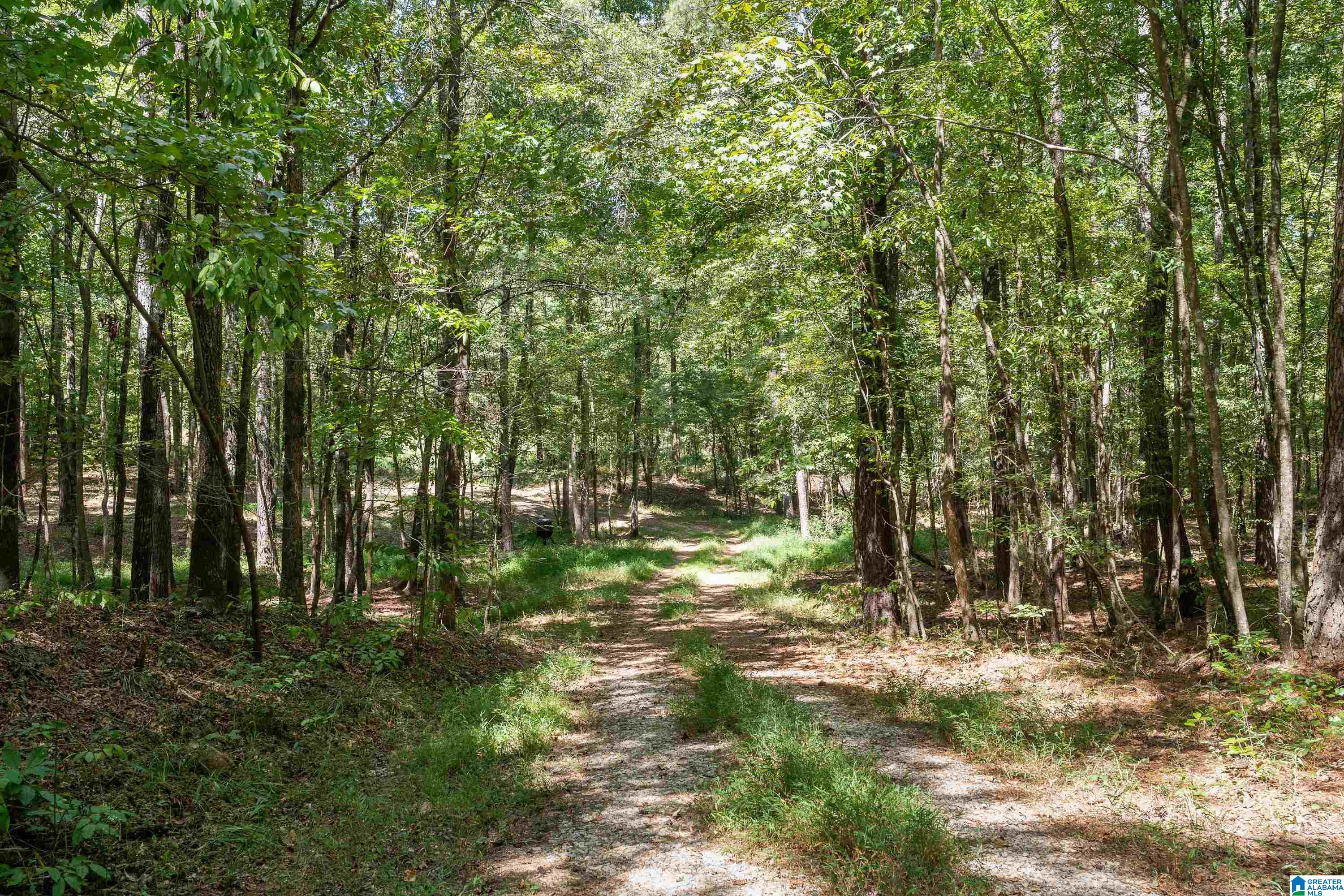 Photo 3 of Land for sale at 1385 County Rd 467, Vincent, AL 35178 | MLS# 21464875 | Listing updated on 2026-09-18