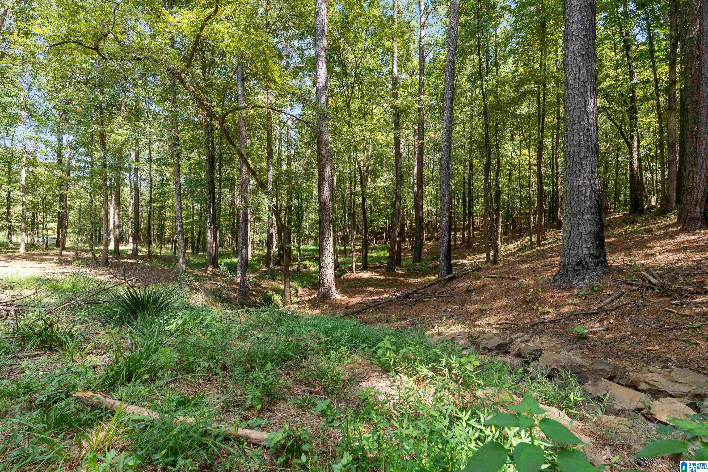 Photo 4 of Land for sale at 1385 County Rd 467, Vincent, AL 35178 | MLS# 21464875 | Listing updated on 2026-09-18