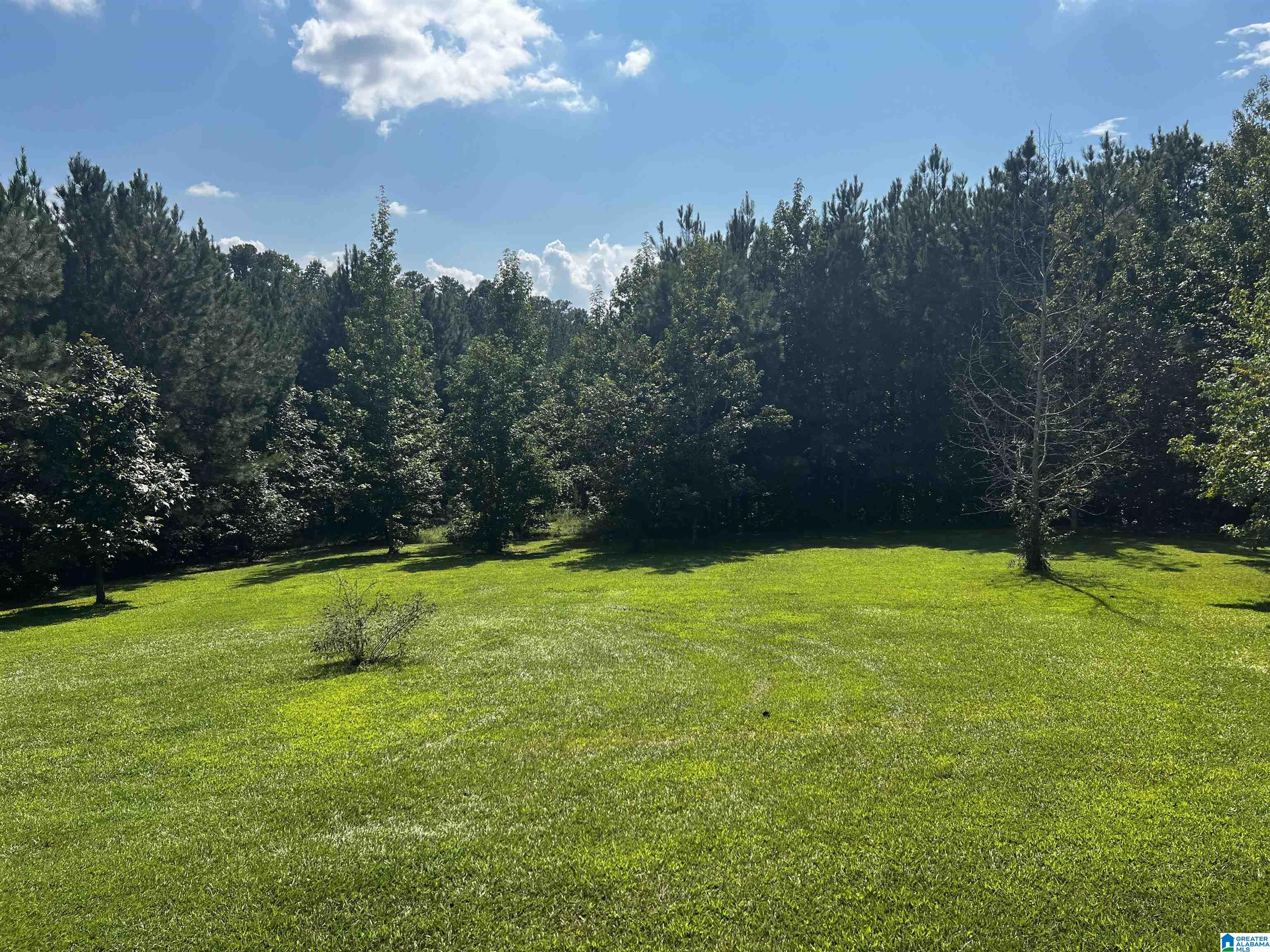 Photo 4 of Single family home for sale at 93 Valley Ridge, Odenville, AL 35120 | MLS# 21464901 | Listing updated on 2026-09-19