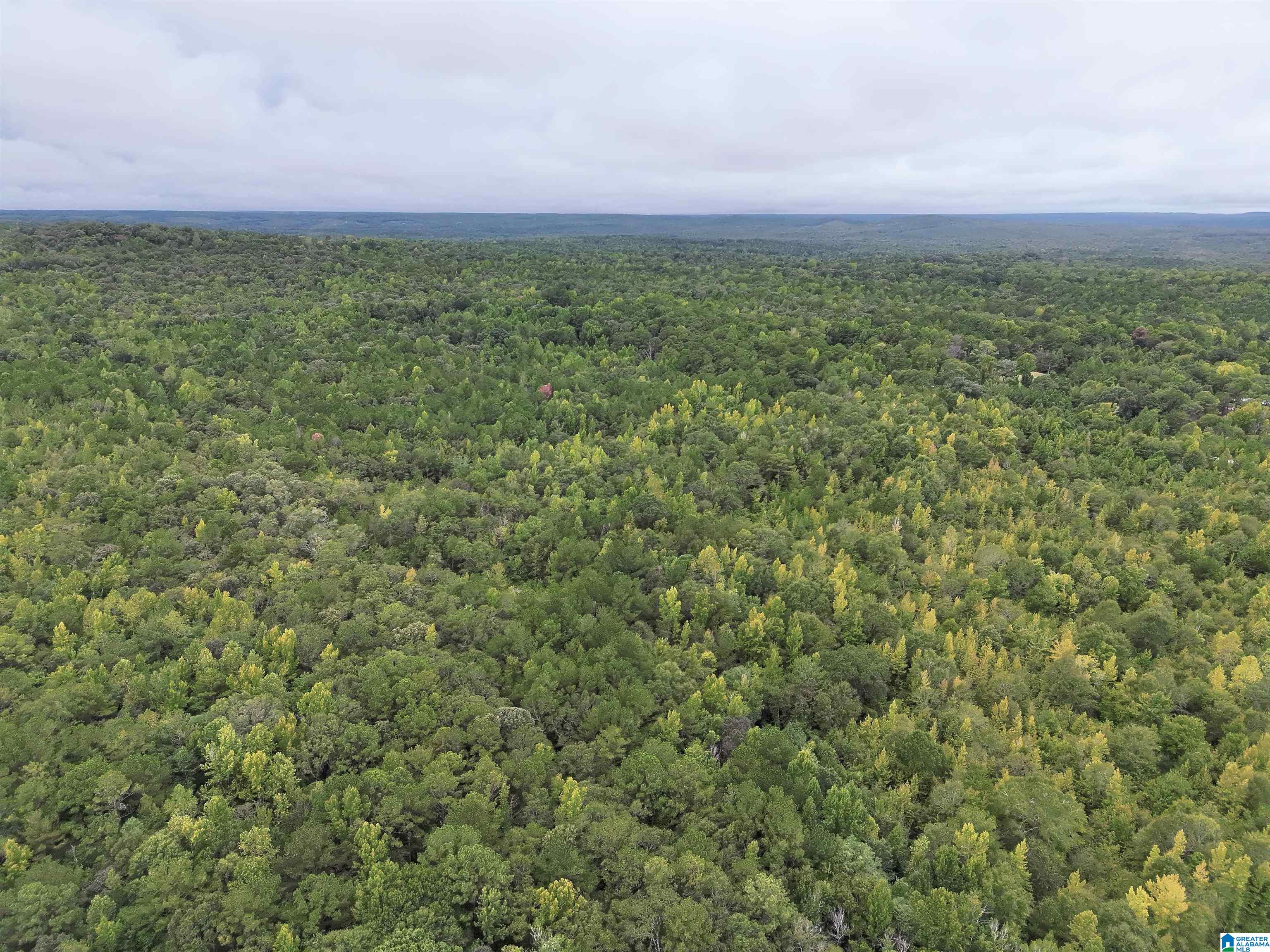 Photo 2 of Land for sale at 0 Scroggins Dr, Tallassee, AL 36078 | MLS# 21464932 | Listing updated on 2026-09-14