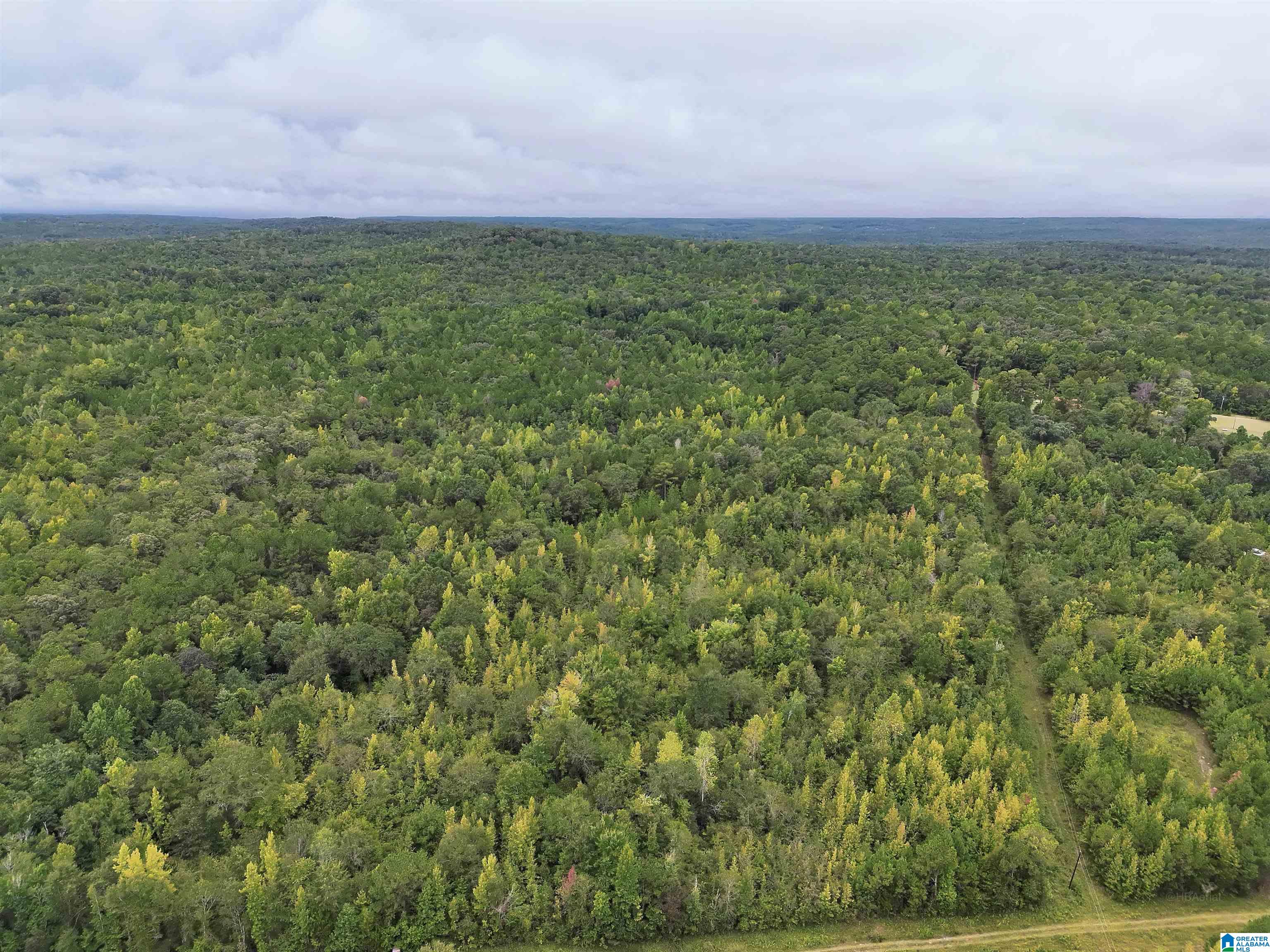 Photo 3 of Land for sale at 0 Scroggins Dr, Tallassee, AL 36078 | MLS# 21464932 | Listing updated on 2026-09-14