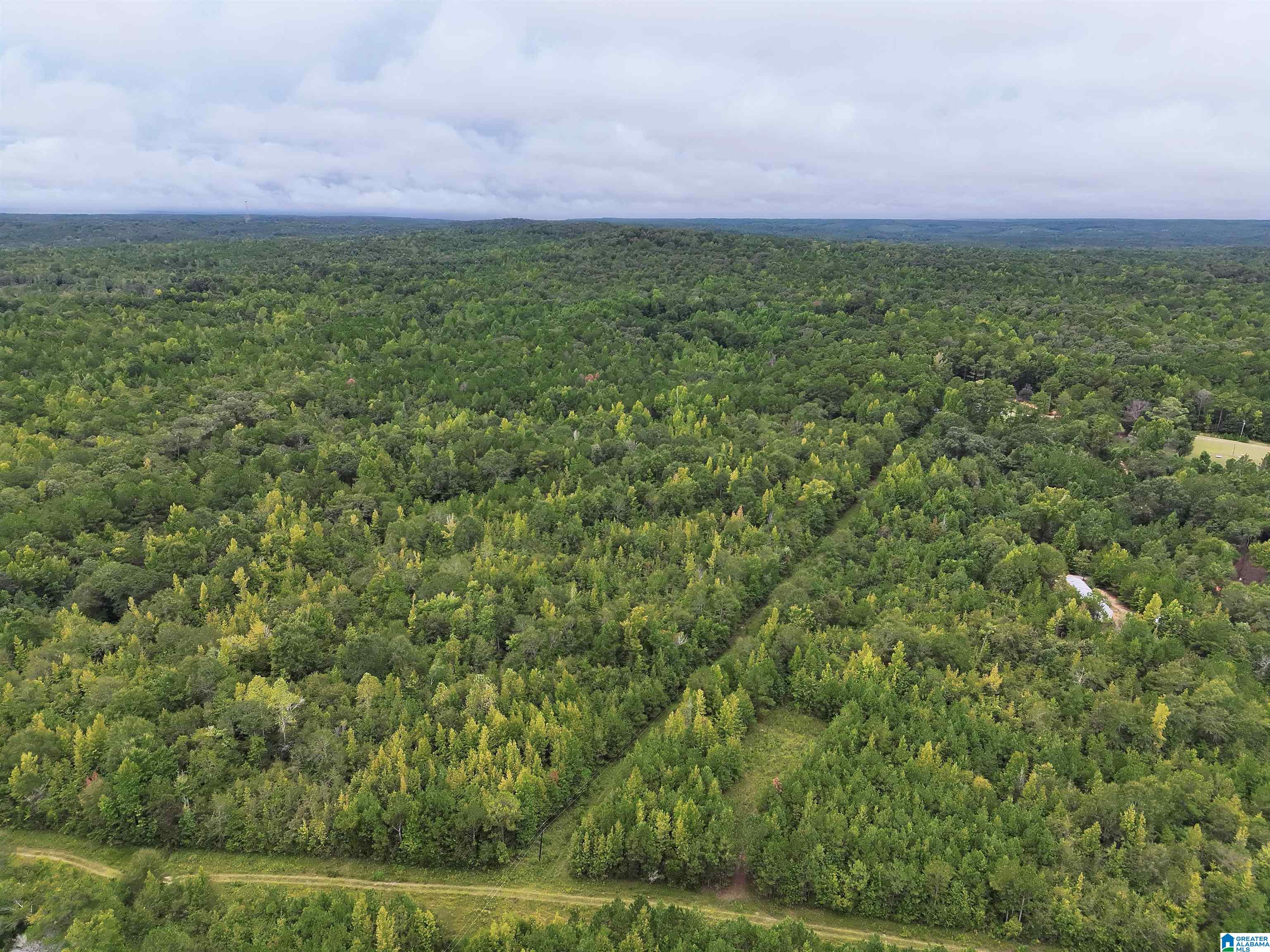 Photo 3 of Land for sale at 0 Scroggins Dr, Tallassee, AL 36078 | MLS# 21464932 | Listing updated on 2026-09-14
