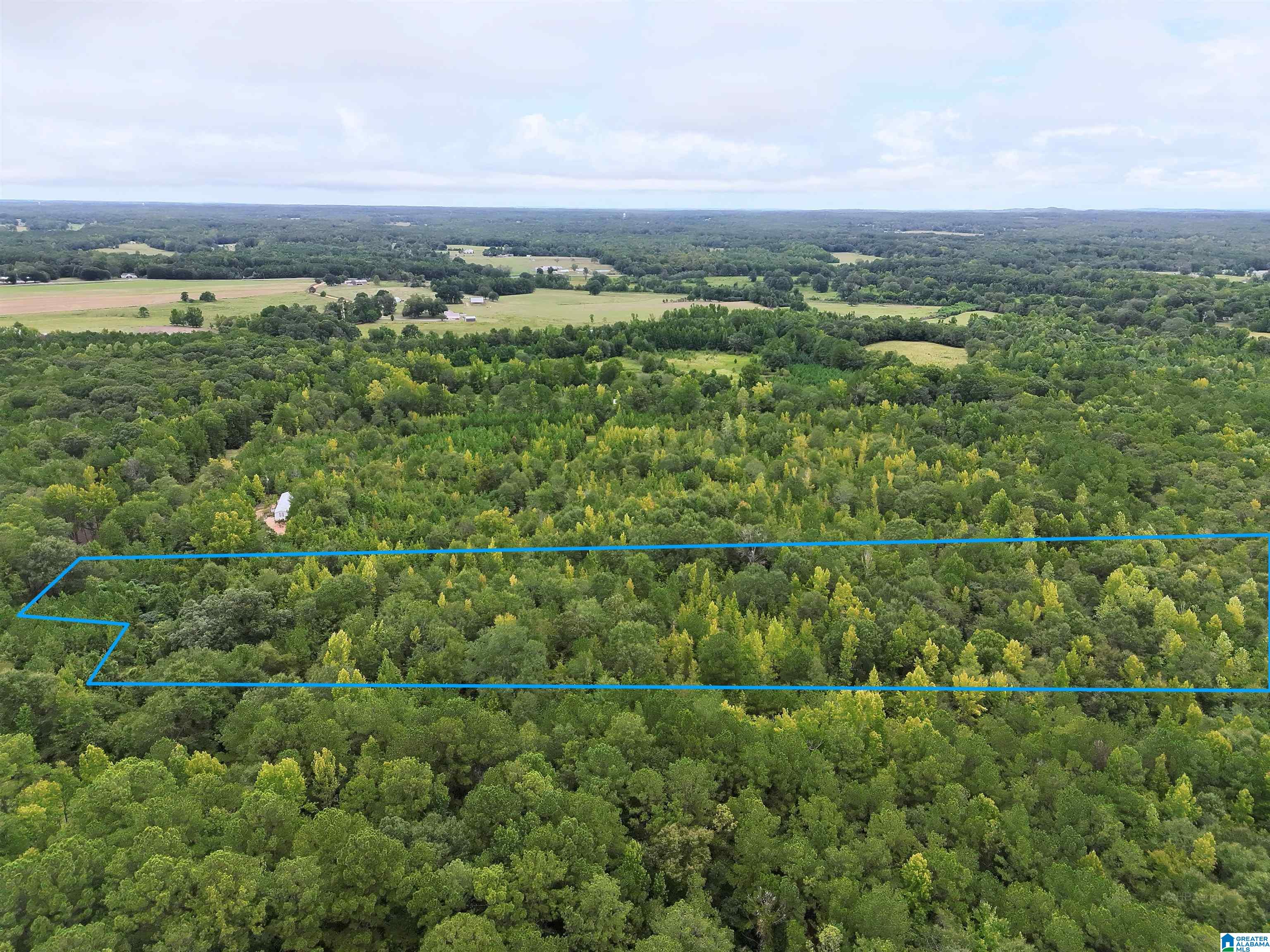 Photo 4 of Land for sale at 0 Scroggins Dr, Tallassee, AL 36078 | MLS# 21464932 | Listing updated on 2026-09-14