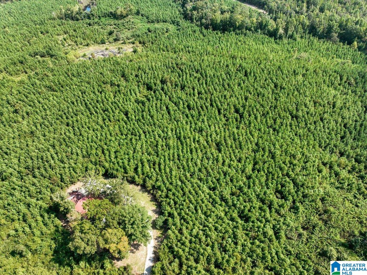 Photo 2 of Land for sale at 0 Highway 195, Jasper, AL 35503 | MLS# 21464970 | Listing updated on 2026-09-16