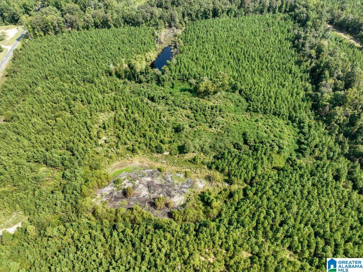 Photo 3 of Land for sale at 0 Highway 195, Jasper, AL 35503 | MLS# 21464970 | Listing updated on 2026-09-16