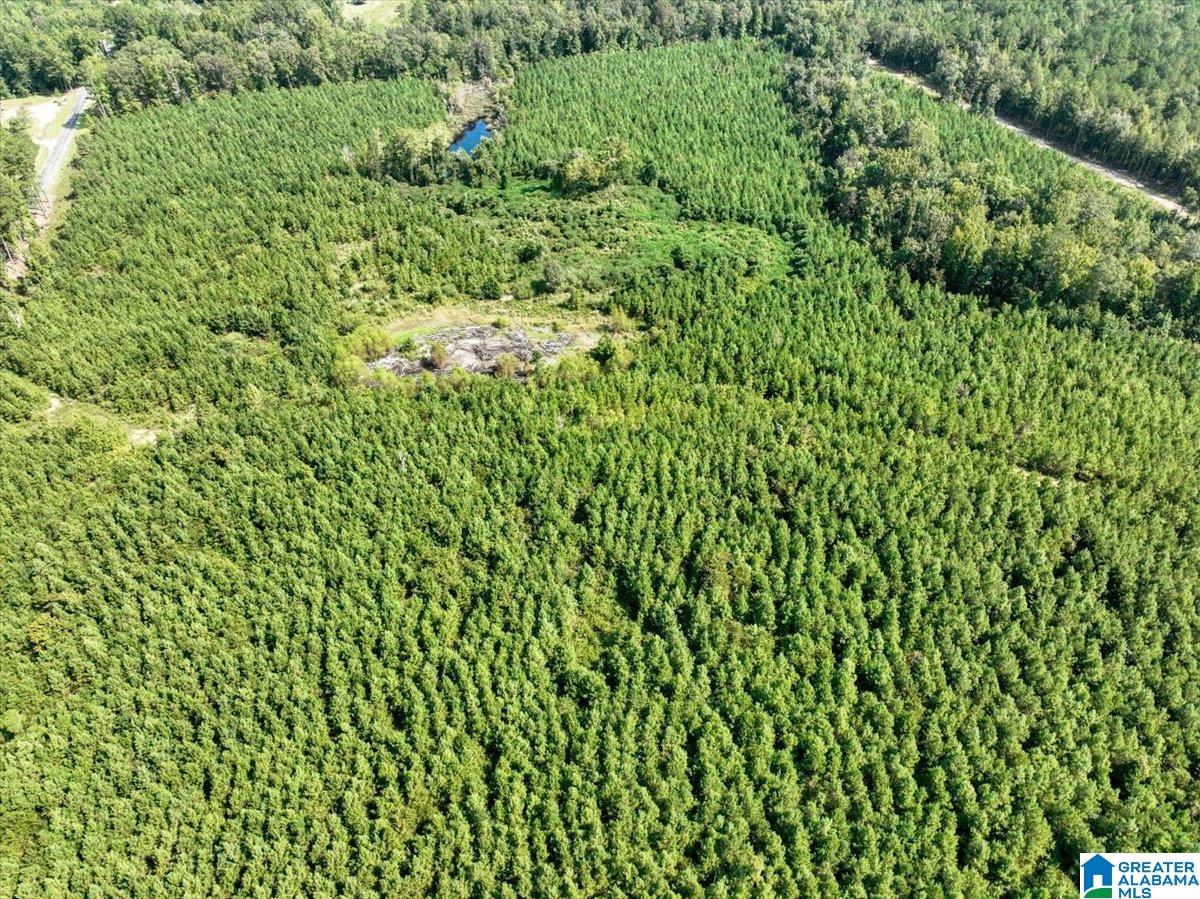 Photo 3 of Land for sale at 0 Highway 195, Jasper, AL 35503 | MLS# 21464970 | Listing updated on 2026-09-16