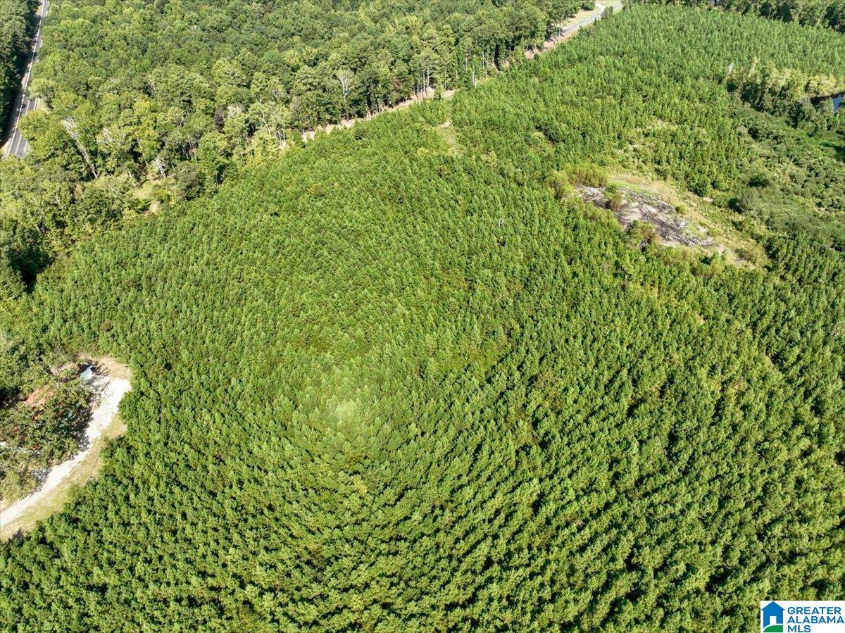 Photo 4 of Land for sale at 0 Highway 195, Jasper, AL 35503 | MLS# 21464970 | Listing updated on 2026-09-16