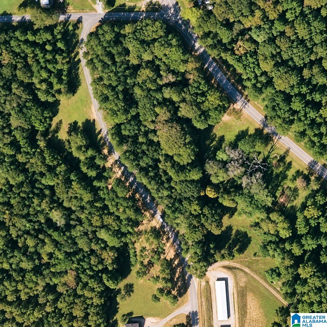 Photo 2 of Land for sale at 0 Island Rd, Titus, AL 36080 | MLS# 21464981 | Listing updated on 2026-09-17