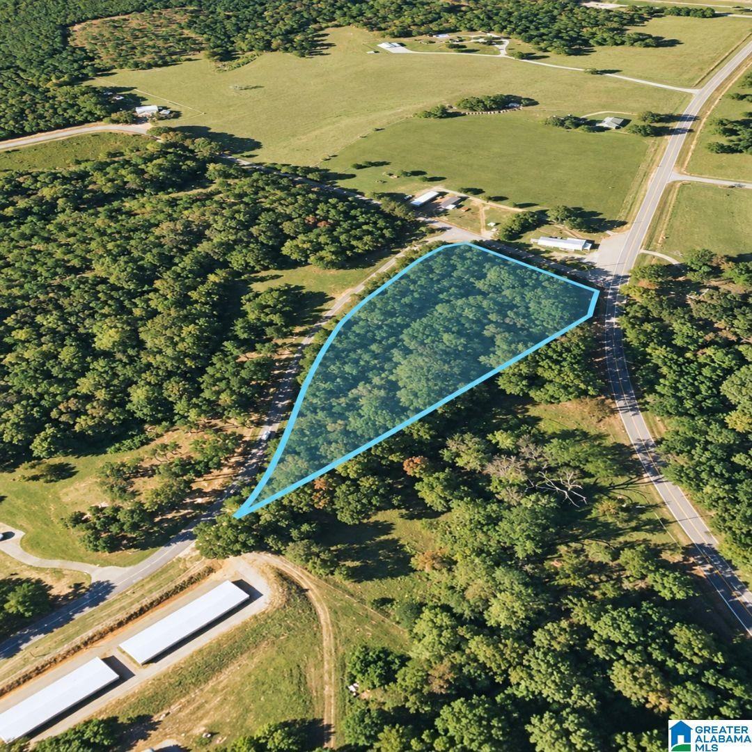 Photo 4 of Land for sale at 0 Island Rd, Titus, AL 36080 | MLS# 21464981 | Listing updated on 2026-09-17