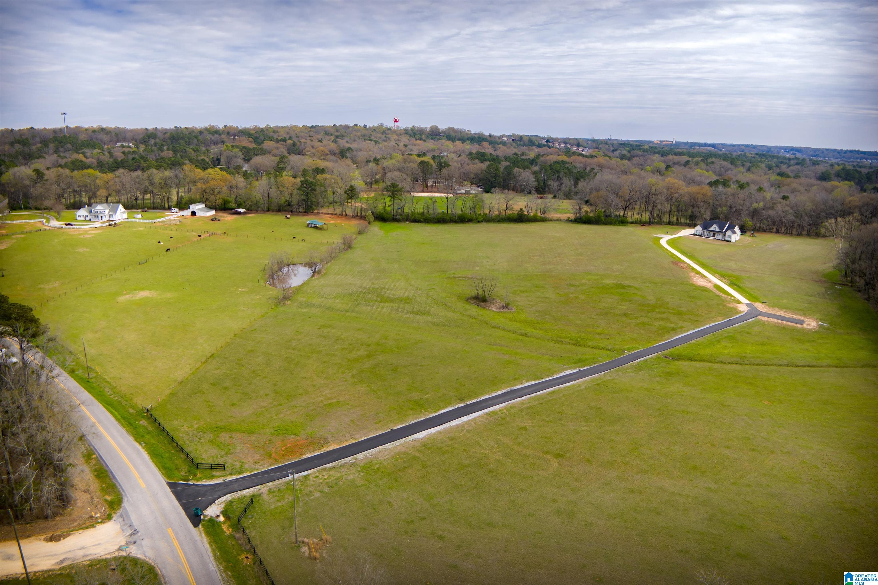 Photo 4 of Land for sale at 810 County Rd 24, Alabaster, AL 35007 | MLS# 21465011 | Listing updated on 2026-09-15