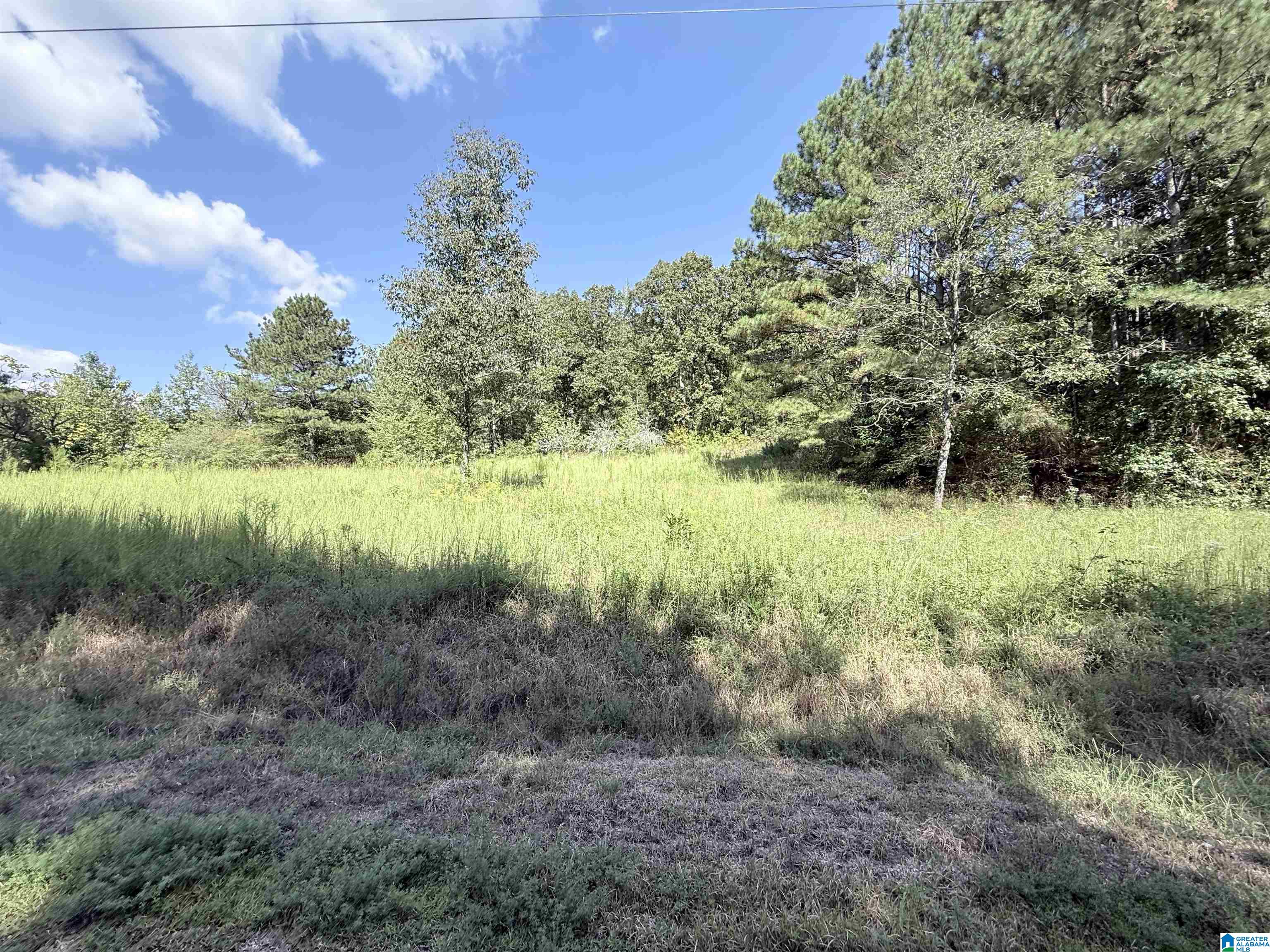 Photo 2 of Land for sale at 7 Stone Ridge Trl S, Anniston, AL 36207 | MLS# 21465050 | Listing updated on 2026-09-15