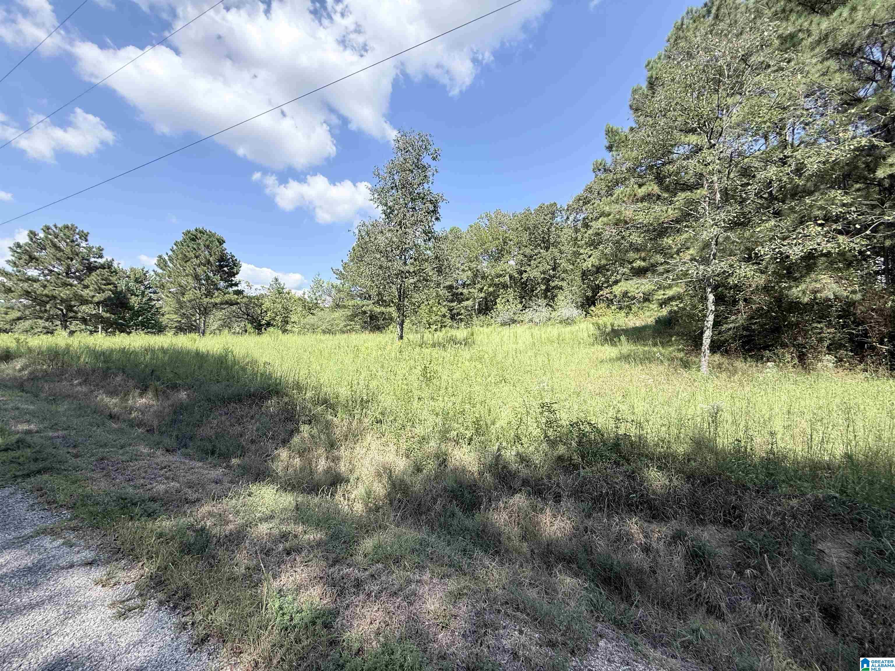 Photo 3 of Land for sale at 7 Stone Ridge Trl S, Anniston, AL 36207 | MLS# 21465050 | Listing updated on 2026-09-15