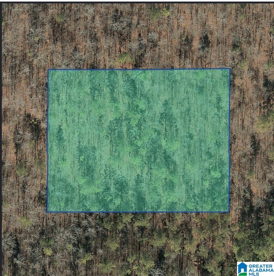 Photo 1 of Land for sale at 0 Jones Rd, Alpine, AL 35014 | MLS# 21465107 | Listing updated on 2026-09-16