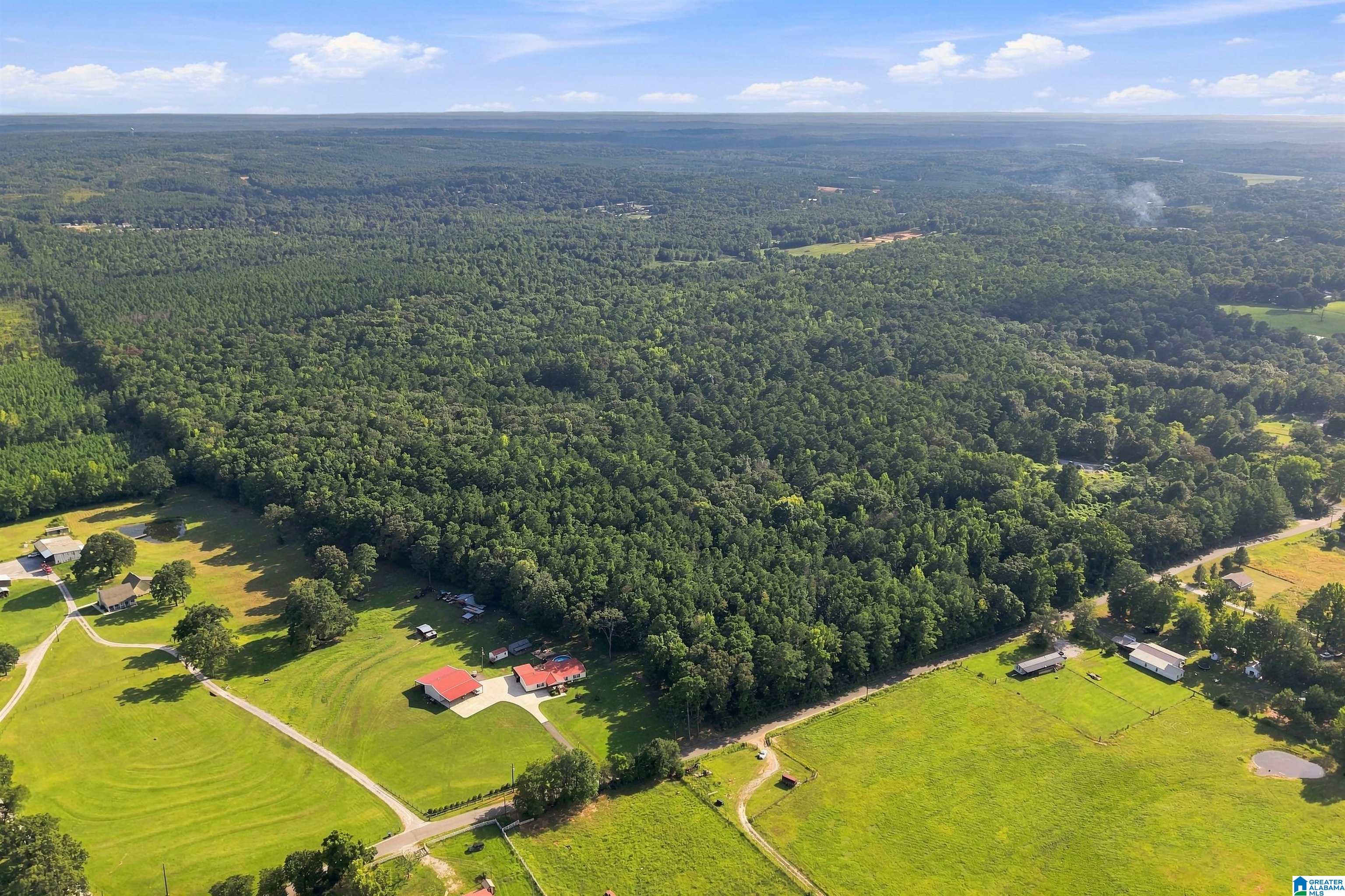 Photo 2 of Land for sale at 0 County Rd 128, Jemison, AL 35085 | MLS# 21465125 | Listing updated on 2026-09-17