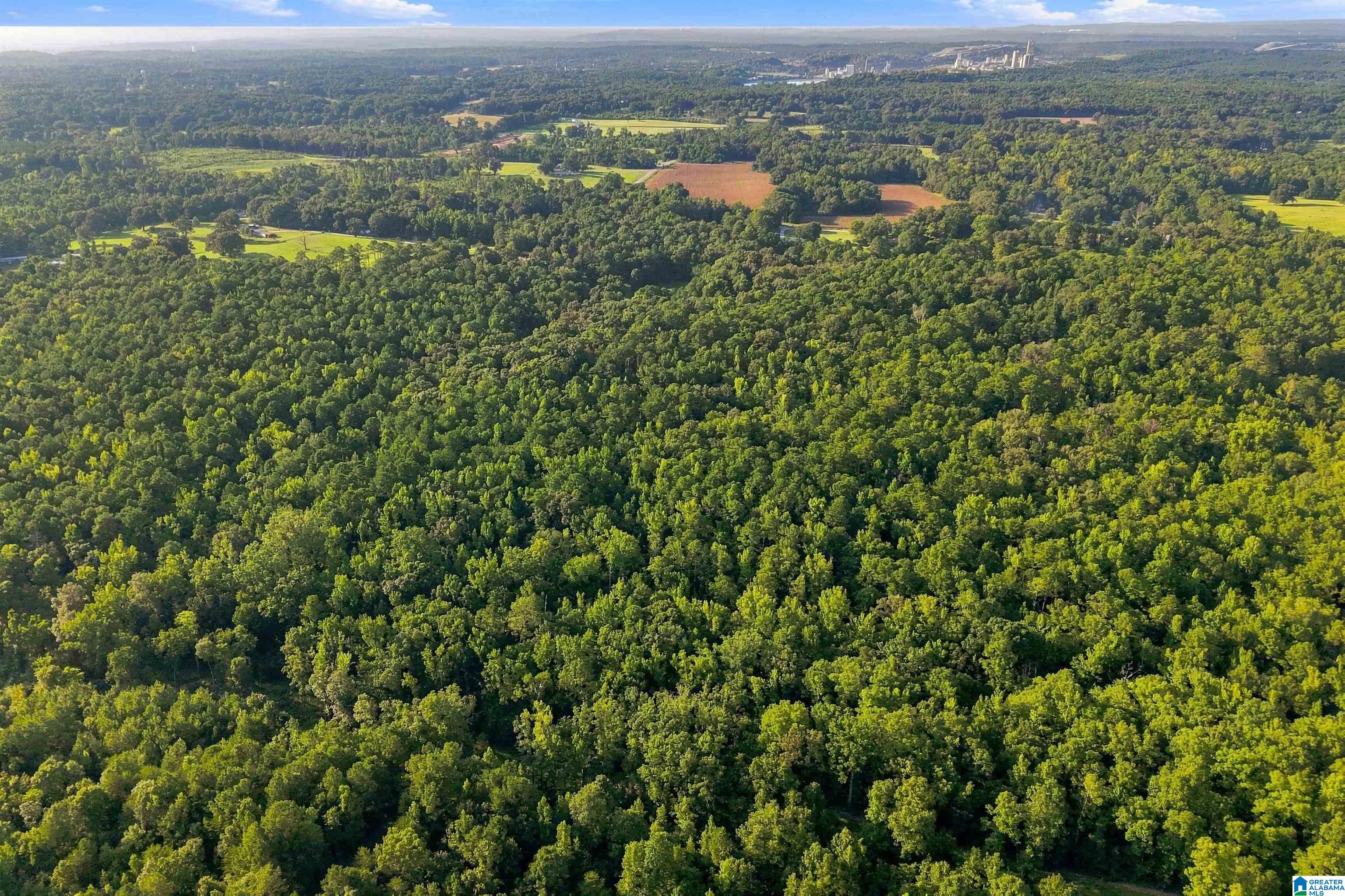 Photo 3 of Land for sale at 0 County Rd 128, Jemison, AL 35085 | MLS# 21465125 | Listing updated on 2026-09-17