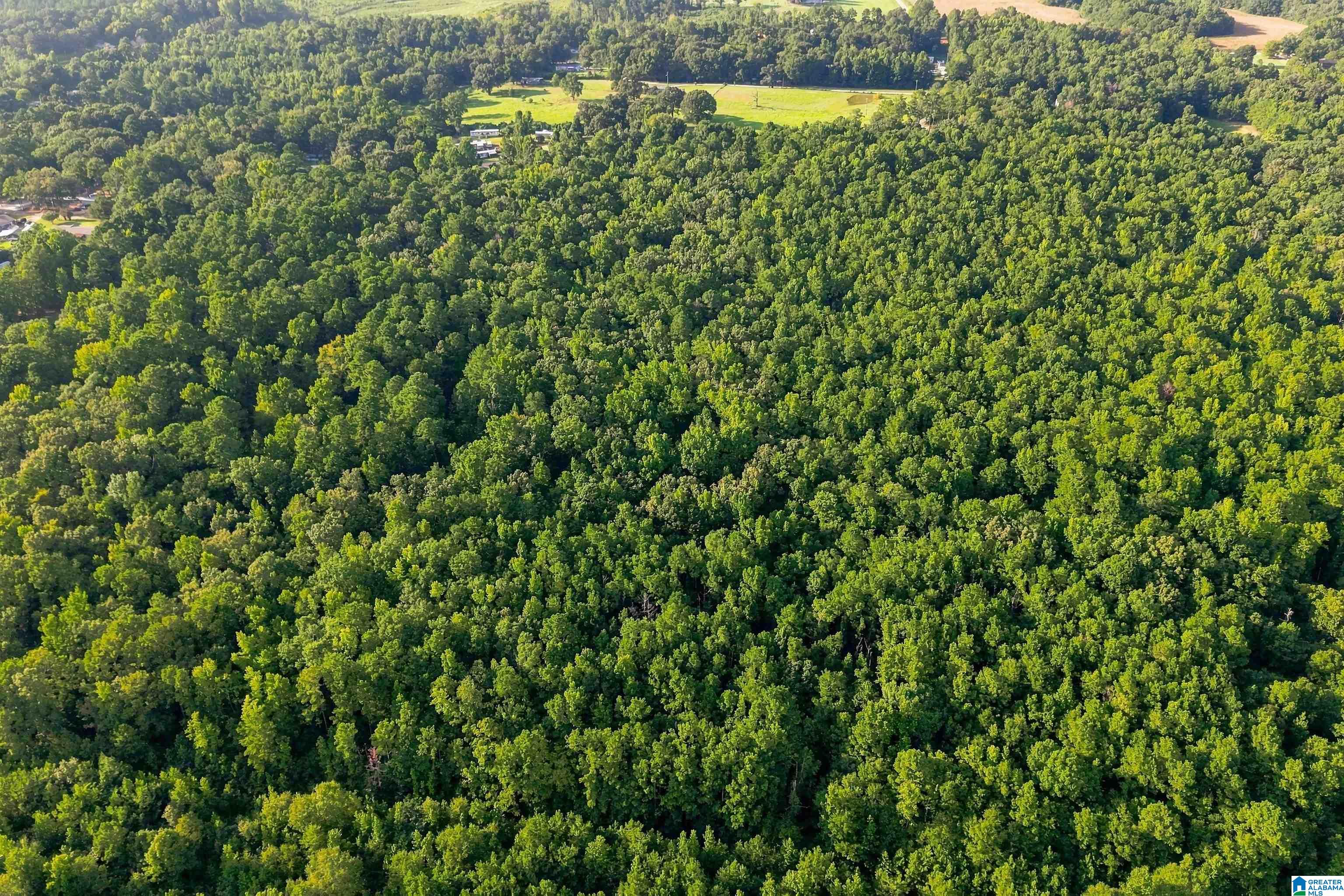 Photo 3 of Land for sale at 0 County Rd 128, Jemison, AL 35085 | MLS# 21465125 | Listing updated on 2026-09-17