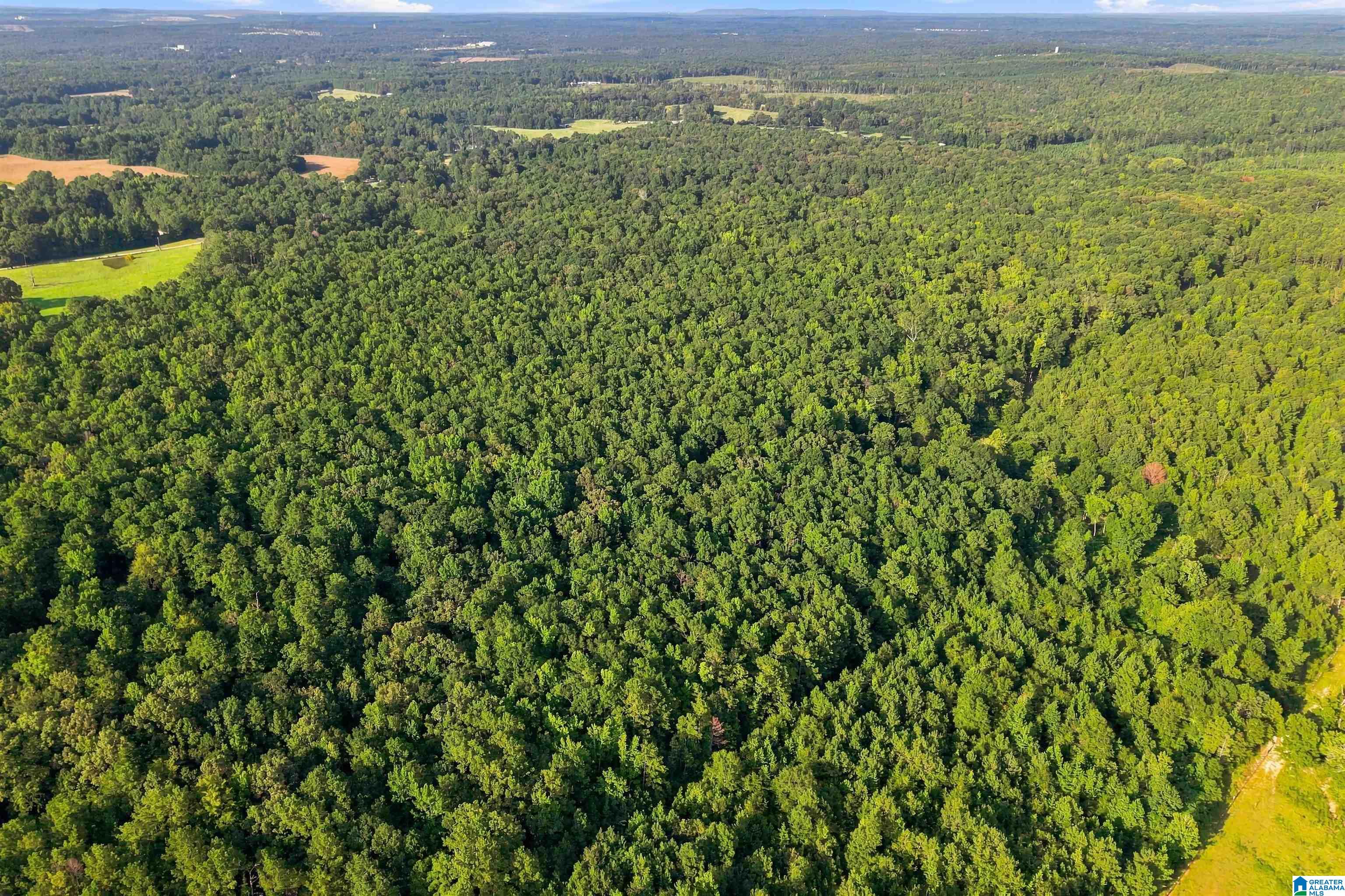 Photo 4 of Land for sale at 0 County Rd 128, Jemison, AL 35085 | MLS# 21465125 | Listing updated on 2026-09-17