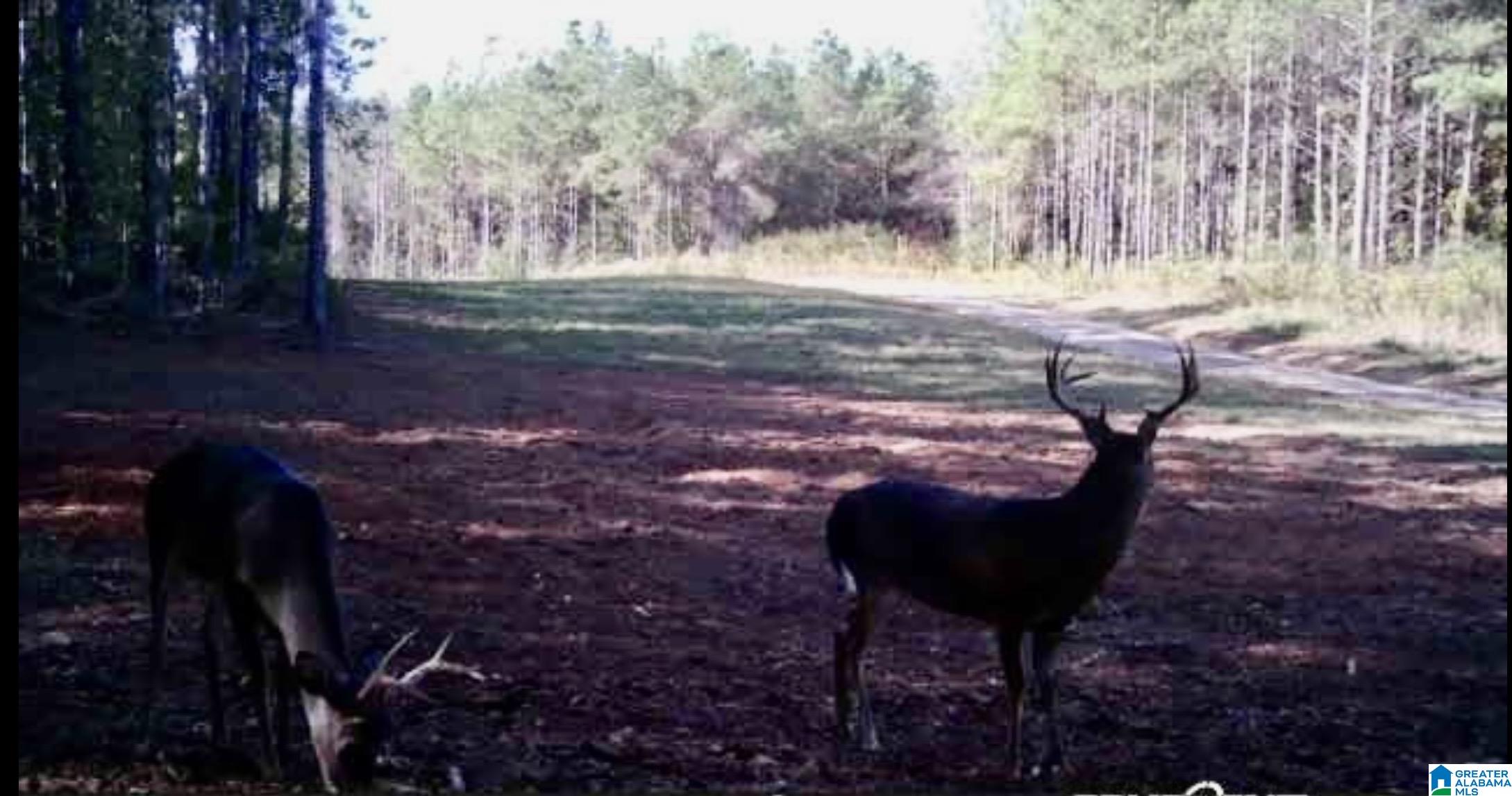Photo 3 of Land for sale at 576 Highway 61, Columbiana, AL 35051 | MLS# 21465129 | Listing updated on 2026-09-17