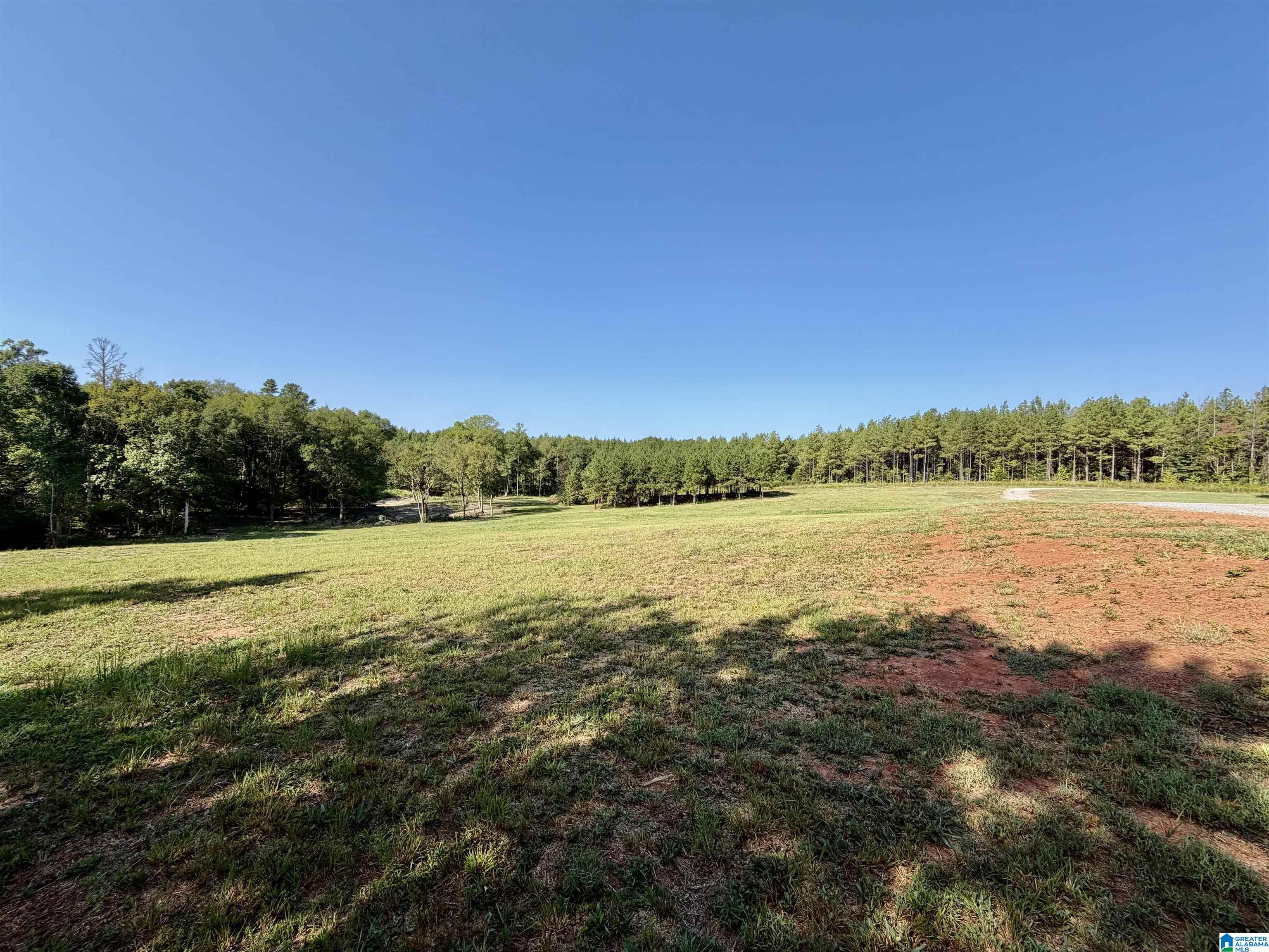 Photo 3 of Land for sale at 576 Highway 61, Columbiana, AL 35051 | MLS# 21465129 | Listing updated on 2026-09-17