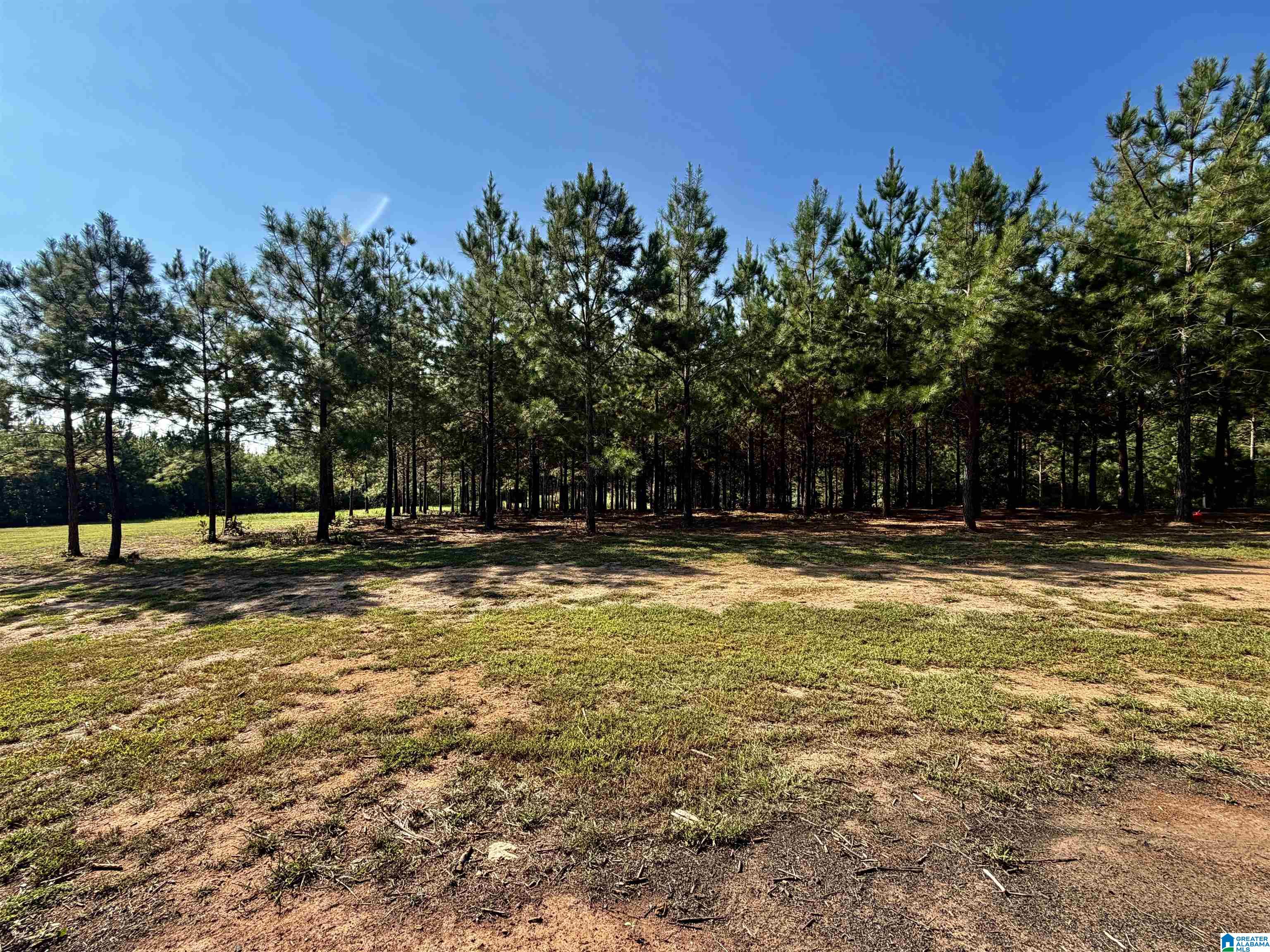 Photo 4 of Land for sale at 576 Highway 61, Columbiana, AL 35051 | MLS# 21465129 | Listing updated on 2026-09-17