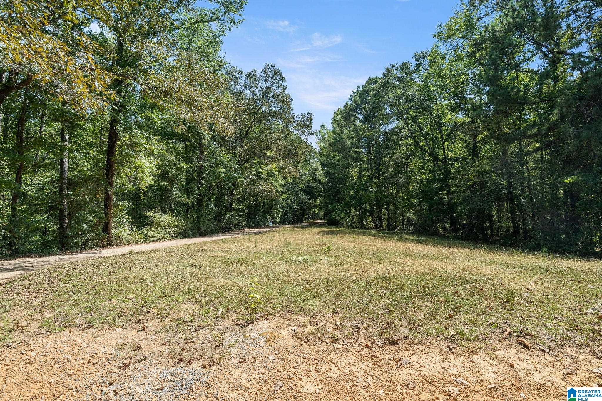 Photo 3 of Land for sale at 0 Gardner Dr, Chelsea, AL 35043 | MLS# 21465136 | Listing updated on 2026-09-18