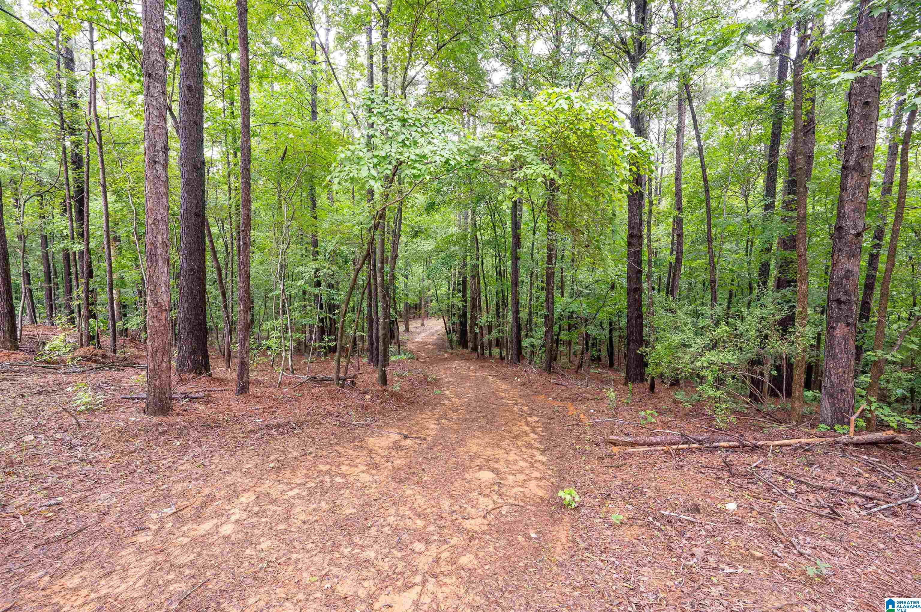 Photo 1 of Land for sale at 284 Nichols Rd, Chelsea, AL 35043 | MLS# 21465155 | Listing updated on 2026-09-16