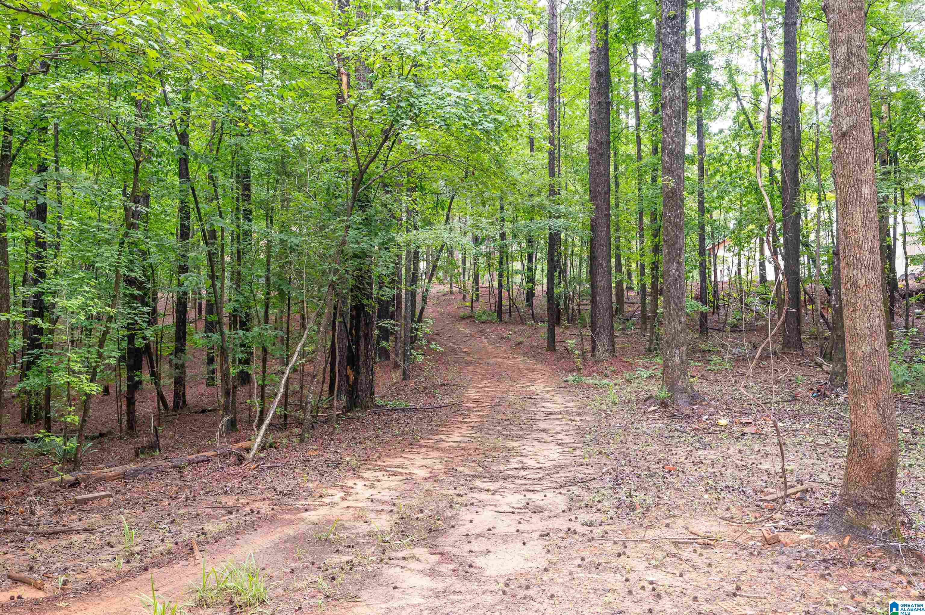 Photo 2 of Land for sale at 284 Nichols Rd, Chelsea, AL 35043 | MLS# 21465155 | Listing updated on 2026-09-16