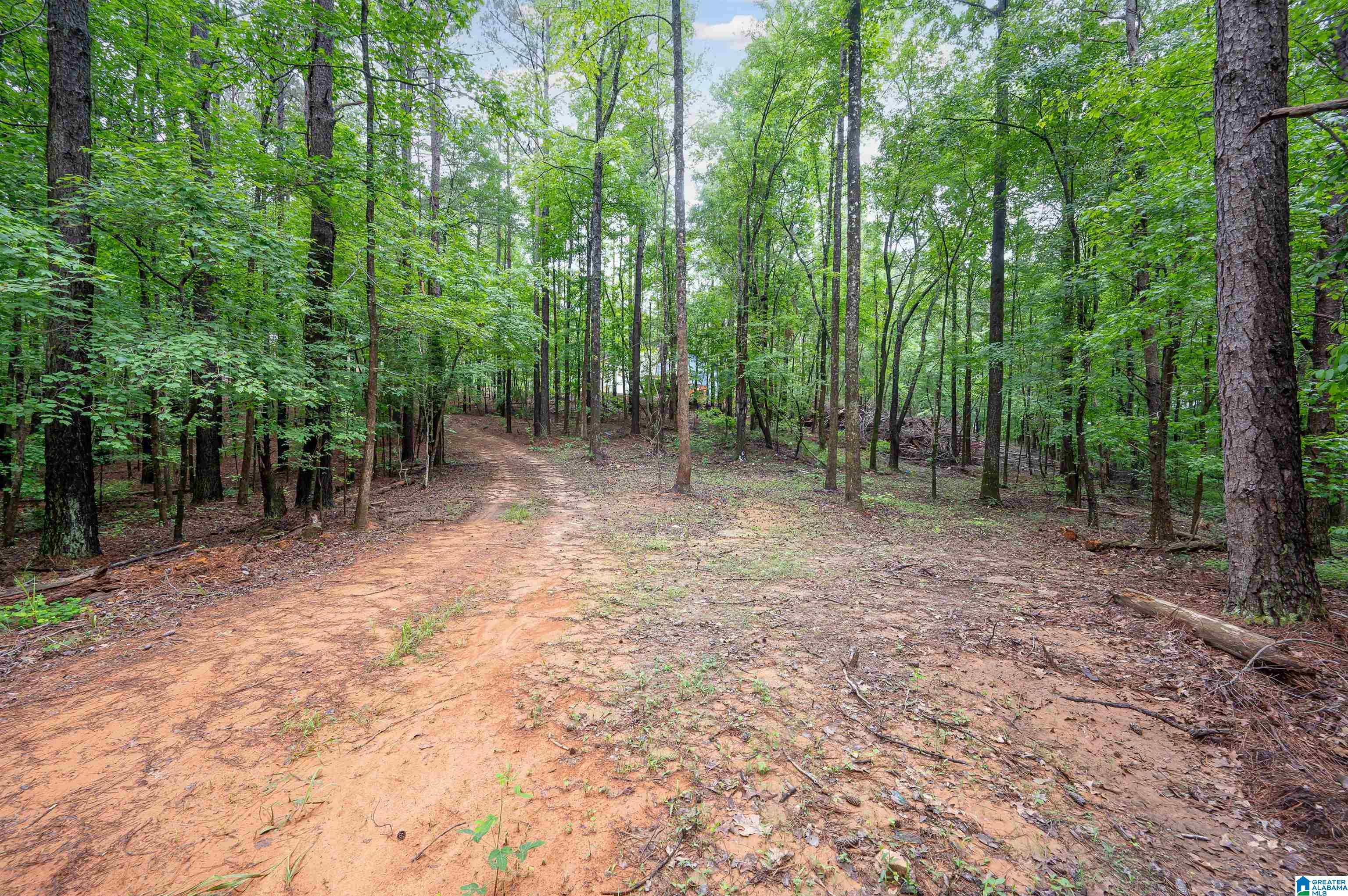 Photo 3 of Land for sale at 284 Nichols Rd, Chelsea, AL 35043 | MLS# 21465155 | Listing updated on 2026-09-16