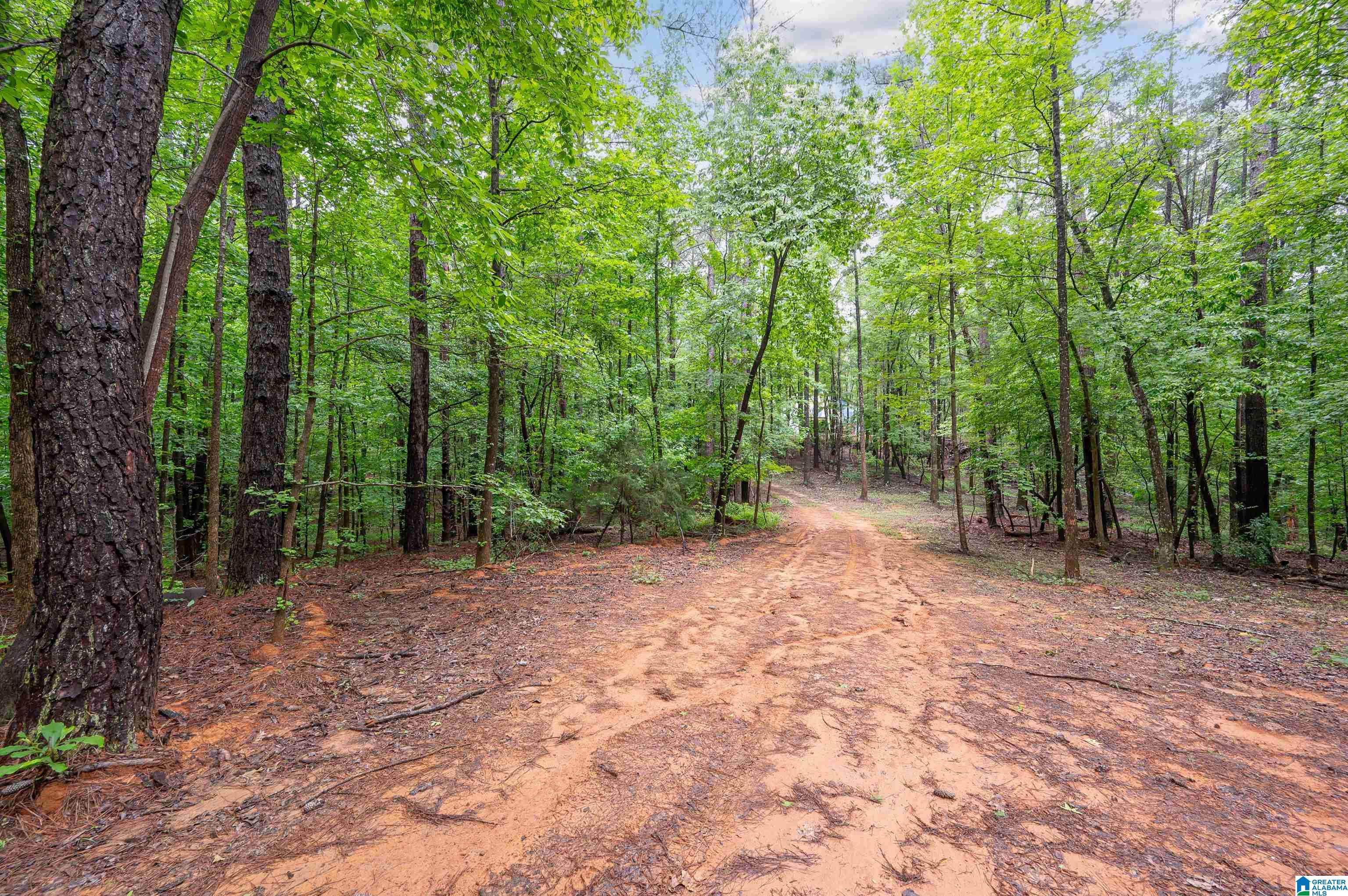 Photo 3 of Land for sale at 284 Nichols Rd, Chelsea, AL 35043 | MLS# 21465155 | Listing updated on 2026-09-16