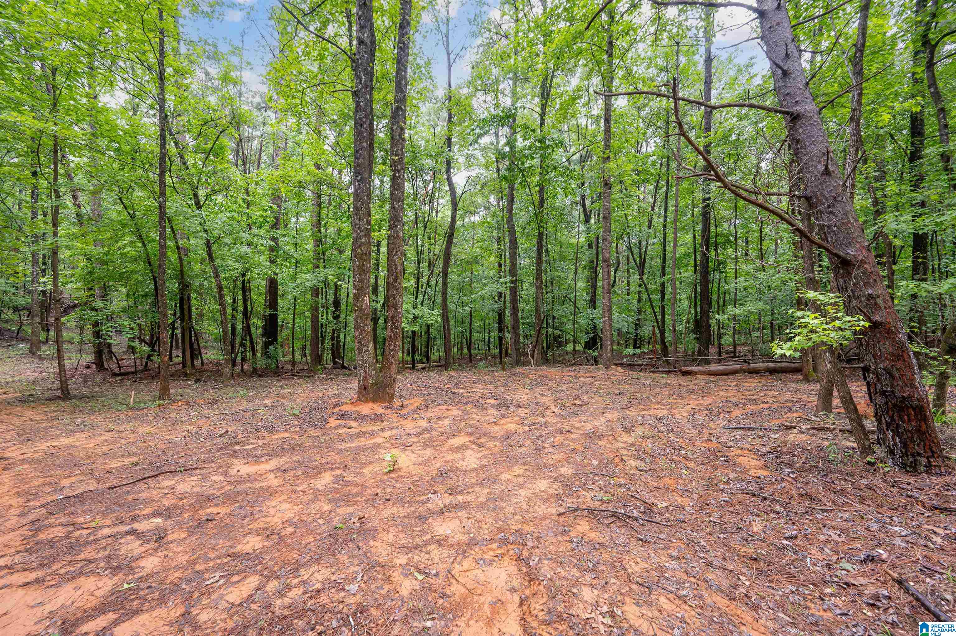 Photo 4 of Land for sale at 284 Nichols Rd, Chelsea, AL 35043 | MLS# 21465155 | Listing updated on 2026-09-16