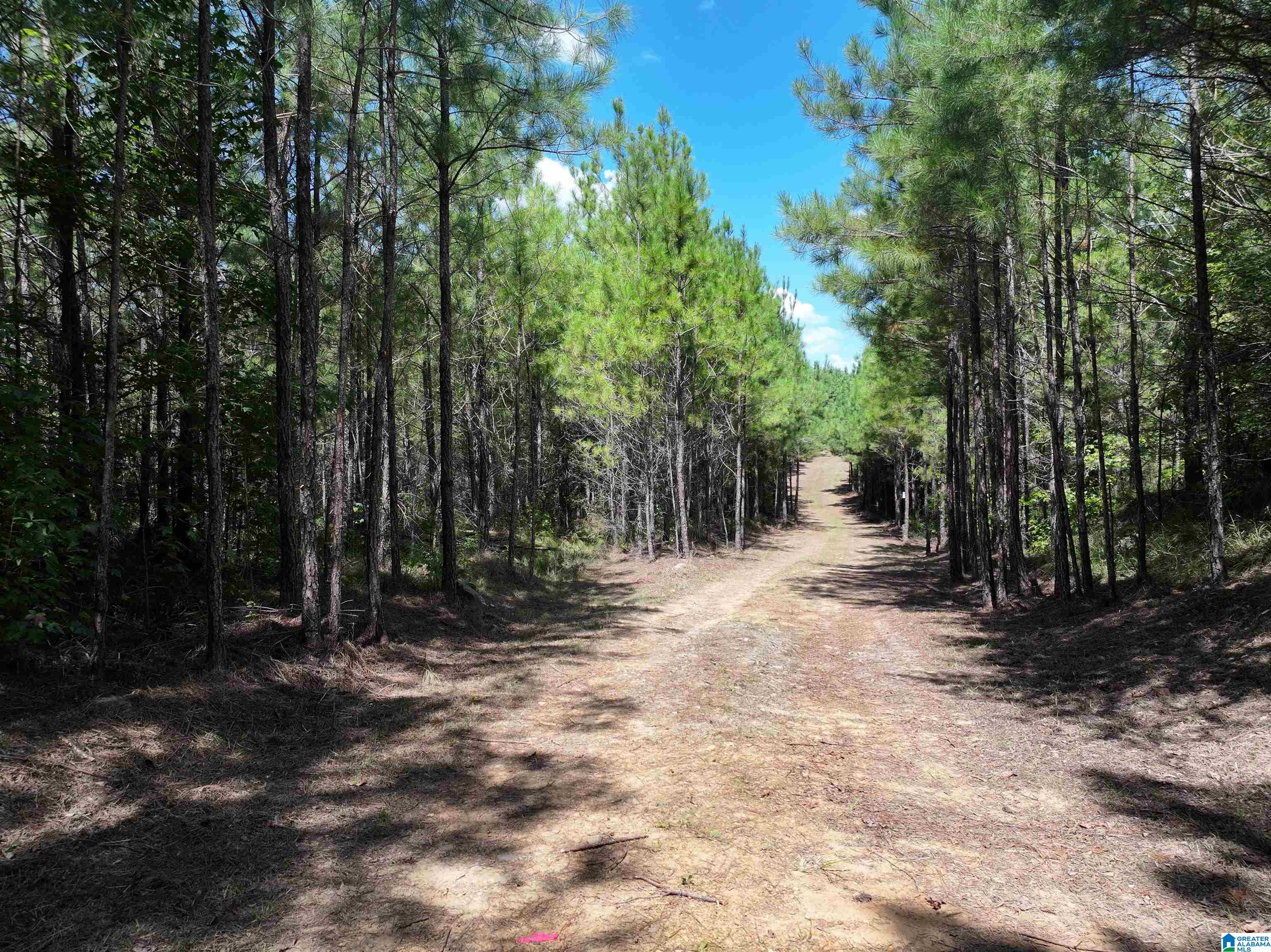 Photo 3 of Land for sale at 0 Johns Rd, Bessemer, AL 35023 | MLS# 21465173 | Listing updated on 2026-09-17
