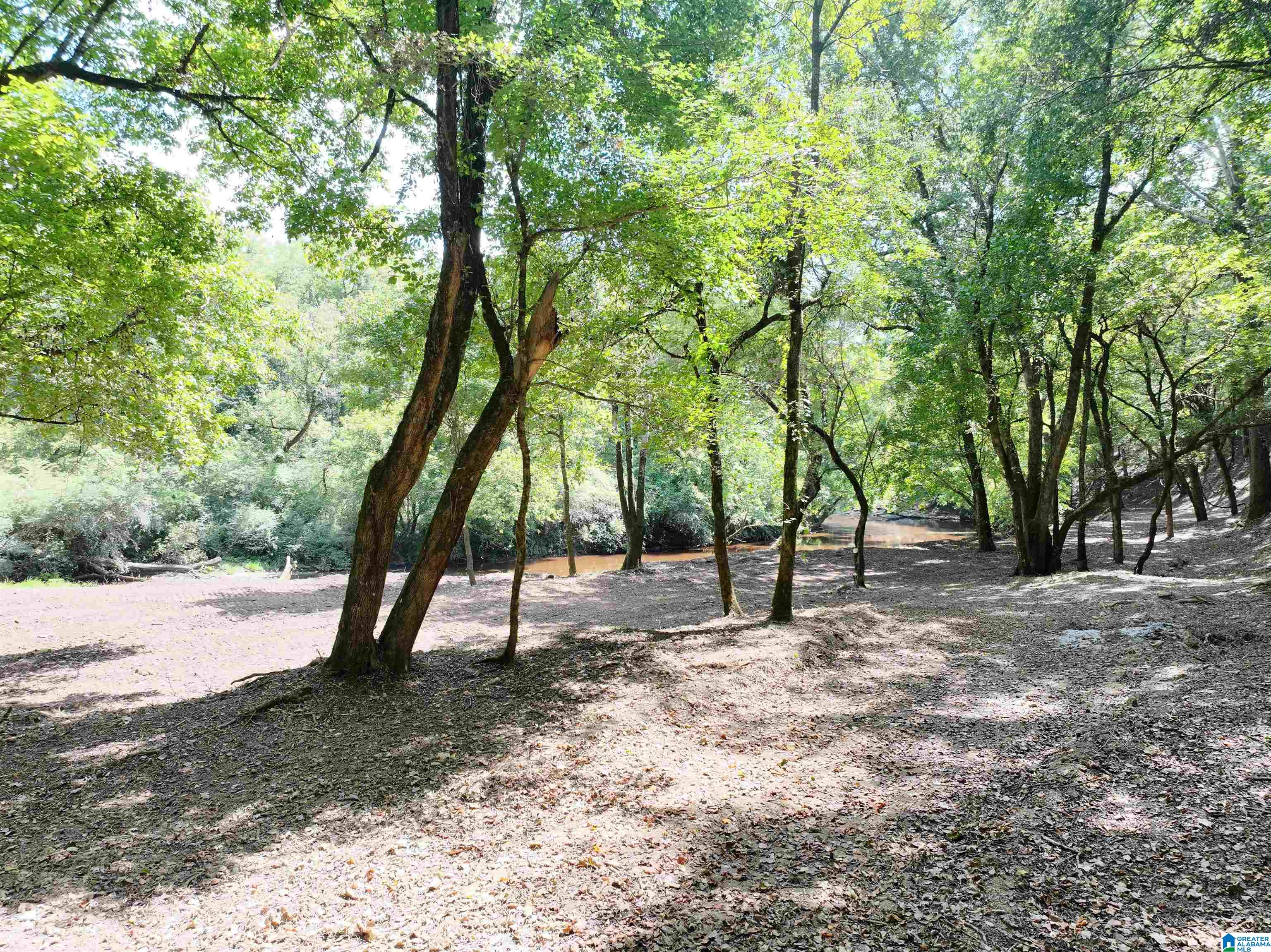 Photo 3 of Land for sale at 0 Johns Rd, Bessemer, AL 35023 | MLS# 21465173 | Listing updated on 2026-09-17