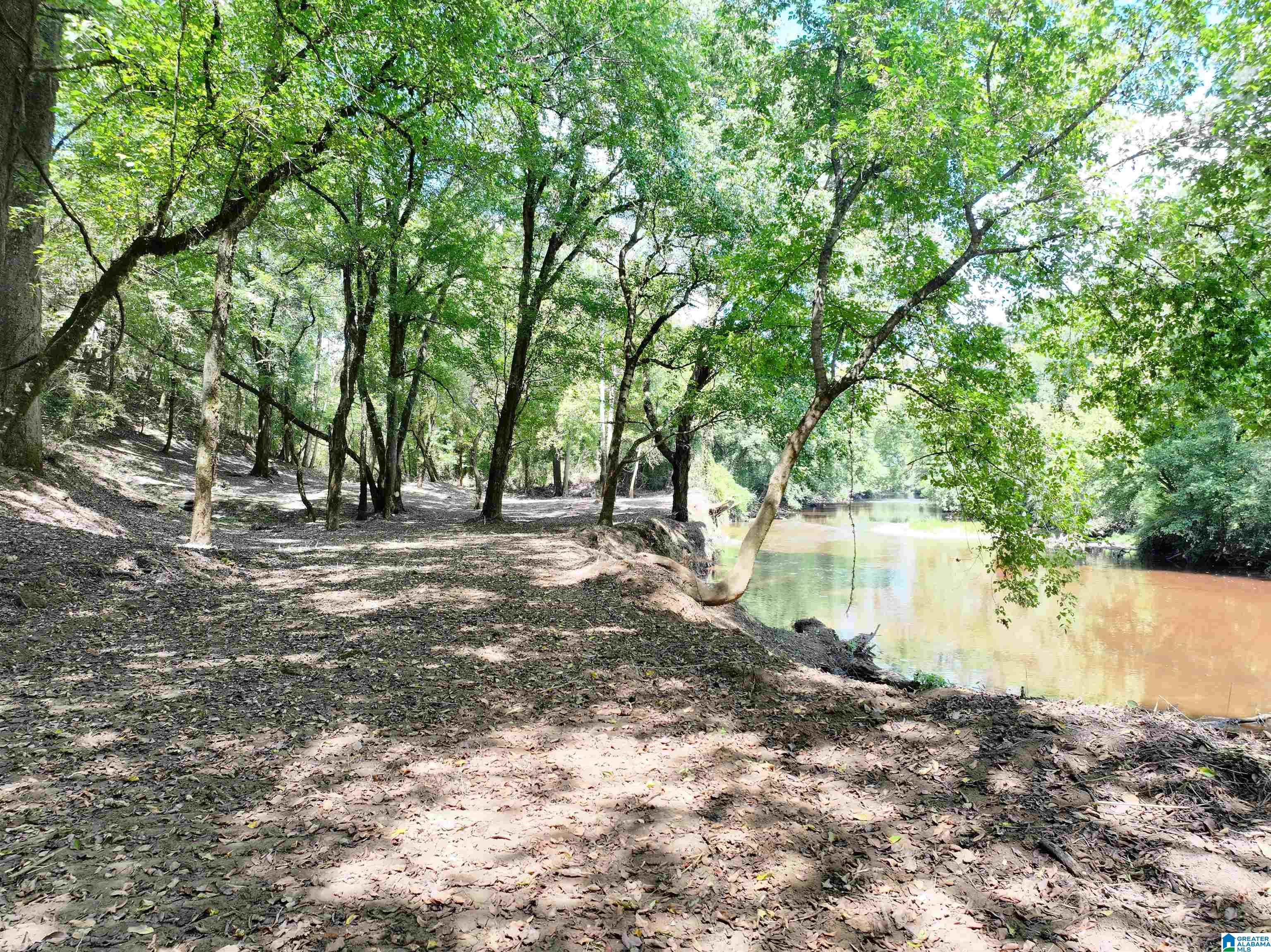 Photo 4 of Land for sale at 0 Johns Rd, Bessemer, AL 35023 | MLS# 21465173 | Listing updated on 2026-09-17
