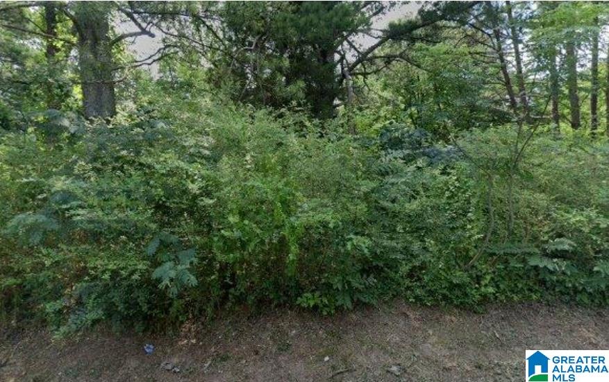 Land for sale at 3319 Short Ave D, BESSEMER, AL 35020 | MLS# 21465191