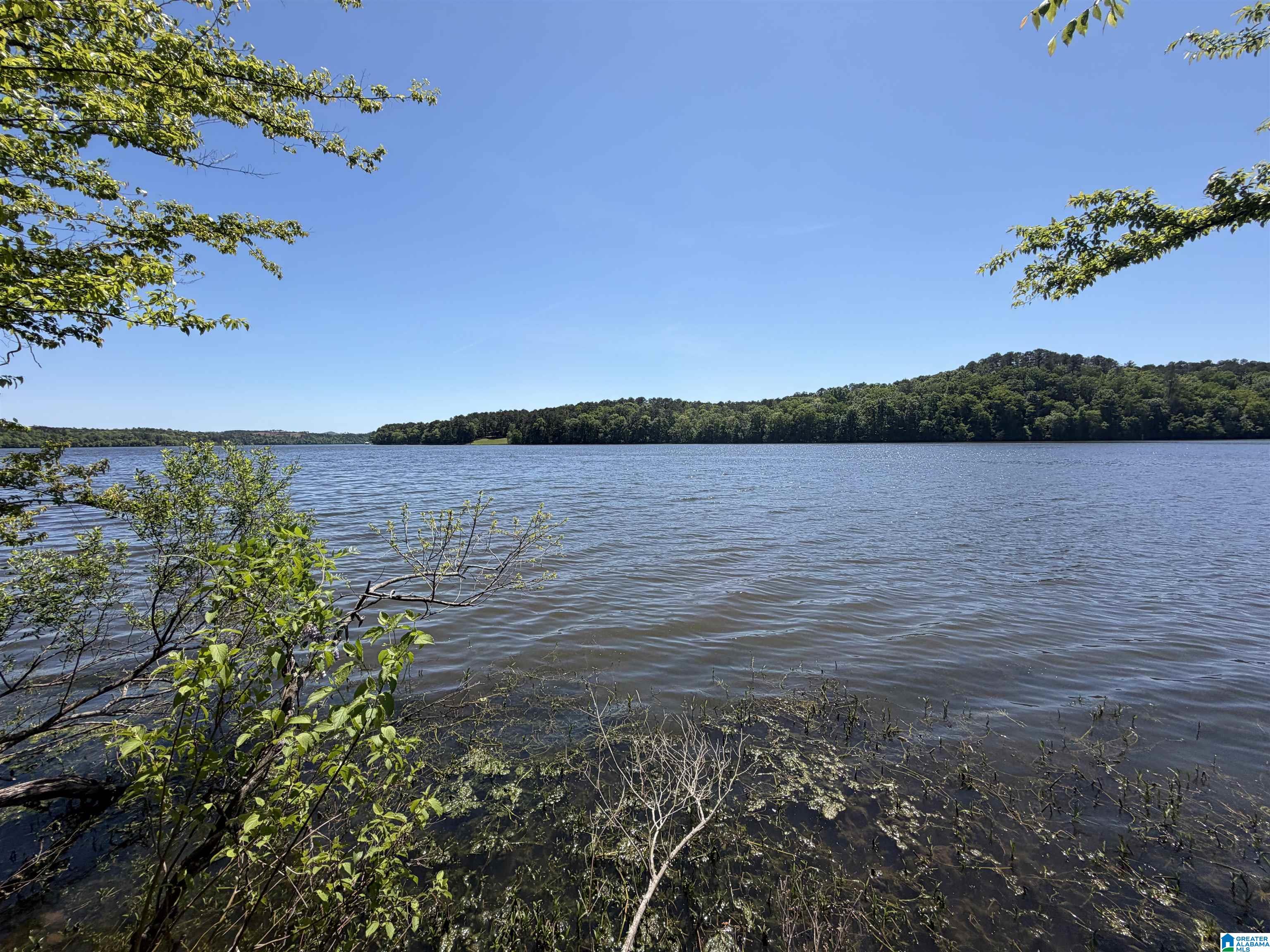 Land for sale at Stillwaters Trl, SYLACAUGA, AL 35151 | MLS# 21465277
