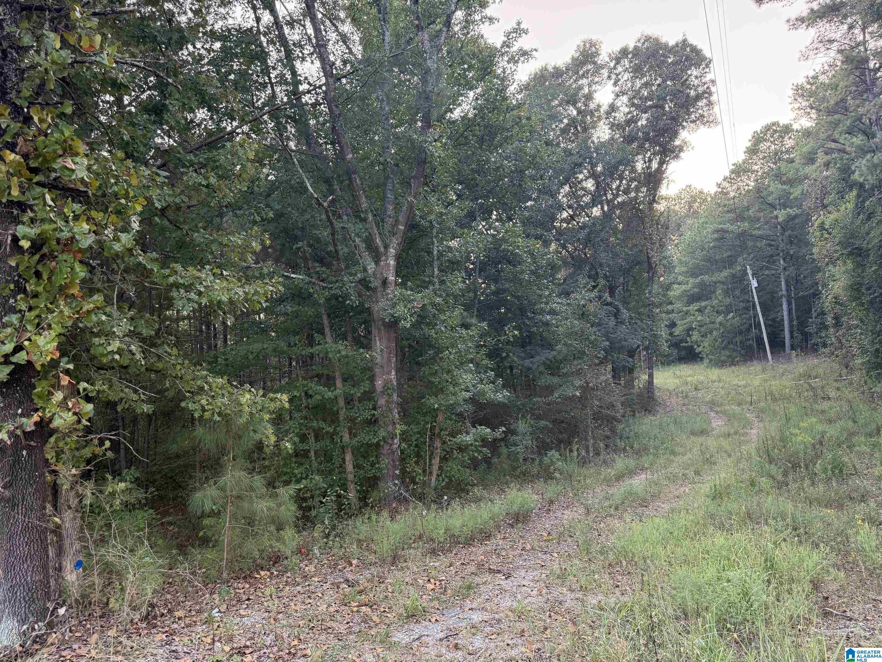 Photo 1 of Land for sale at 7195 Lou George Loop, Bessemer, AL 35022 | MLS# 21465399 | Listing updated on 2026-09-18